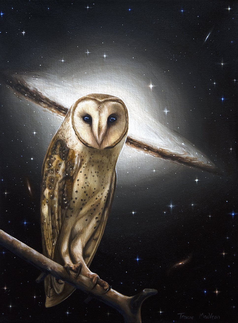 "Nocturnal Enlightenment" Oil on canvas, 30cm x 40cm