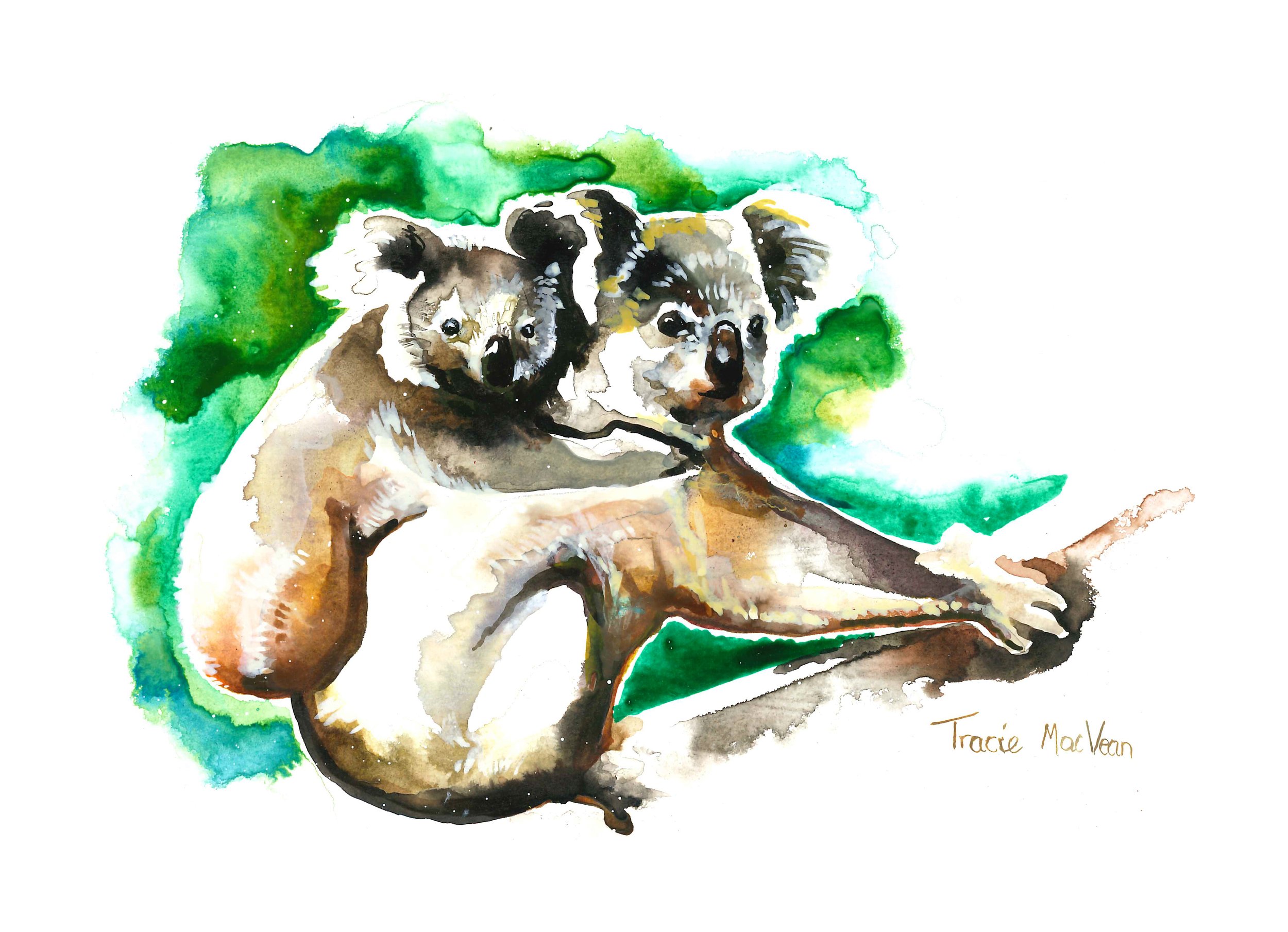 "Koala" Acrylic ink on paper, 21cm x 15cm