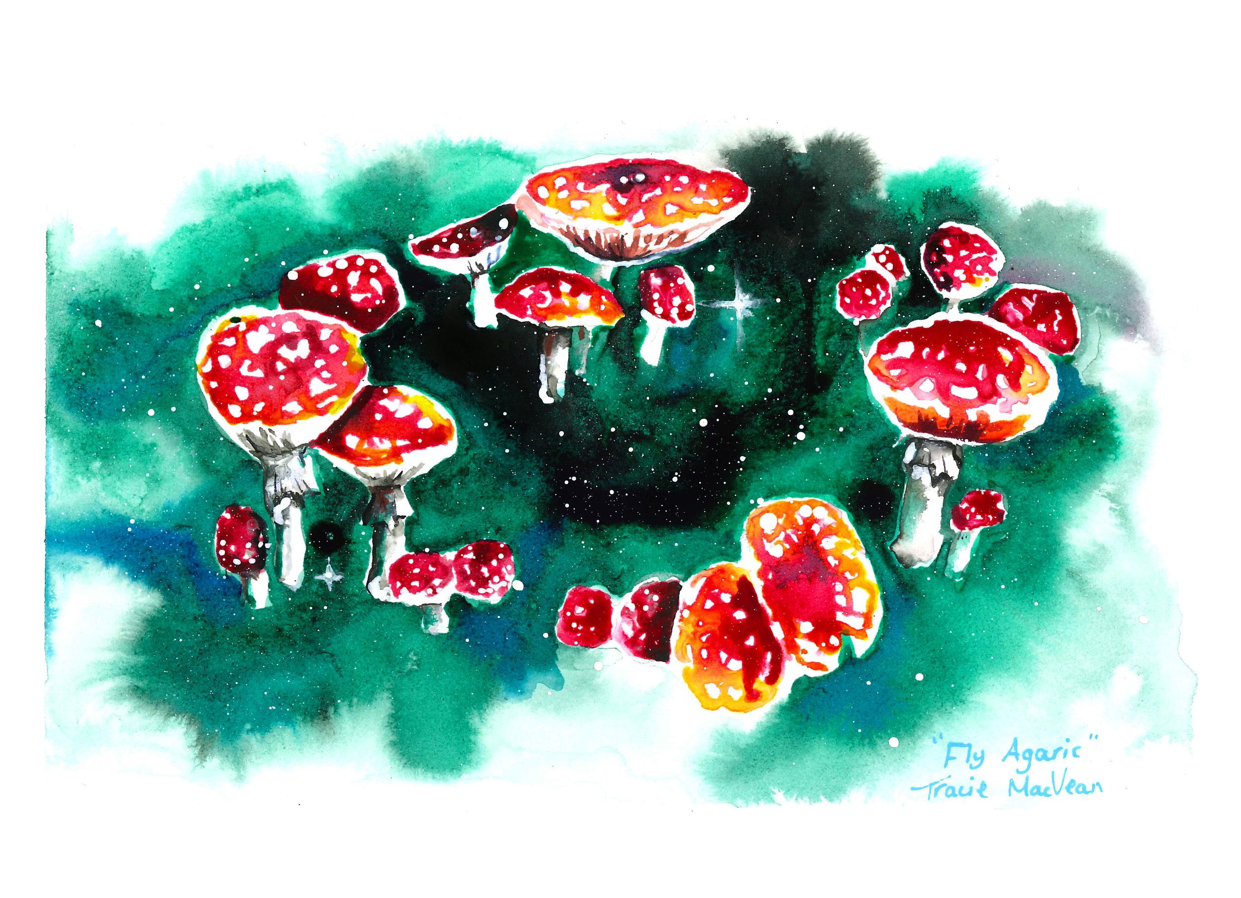 "Fly Agaric Circle" Acrylic ink on paper, 21cm x 15cm