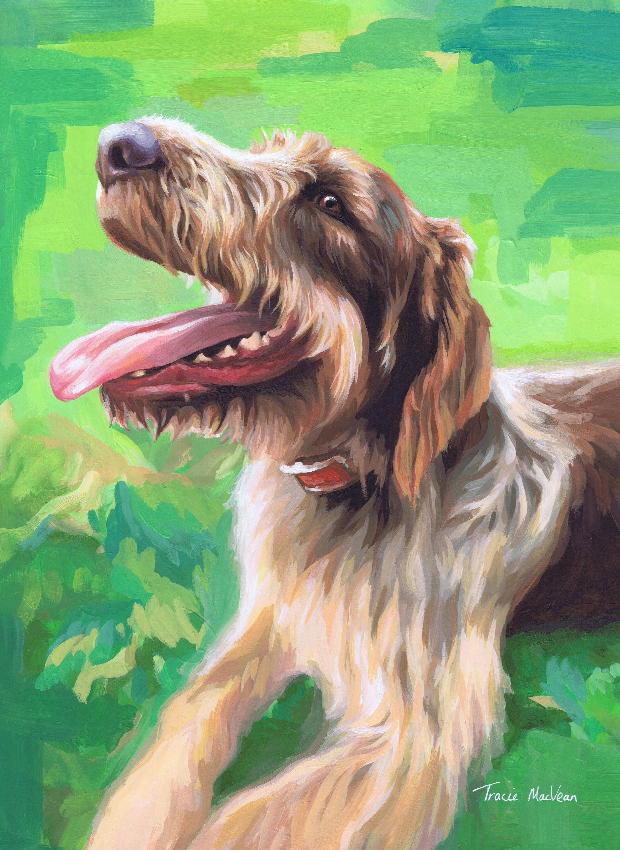 "Gus" Acrylic on paper, 30cm x 42cm
