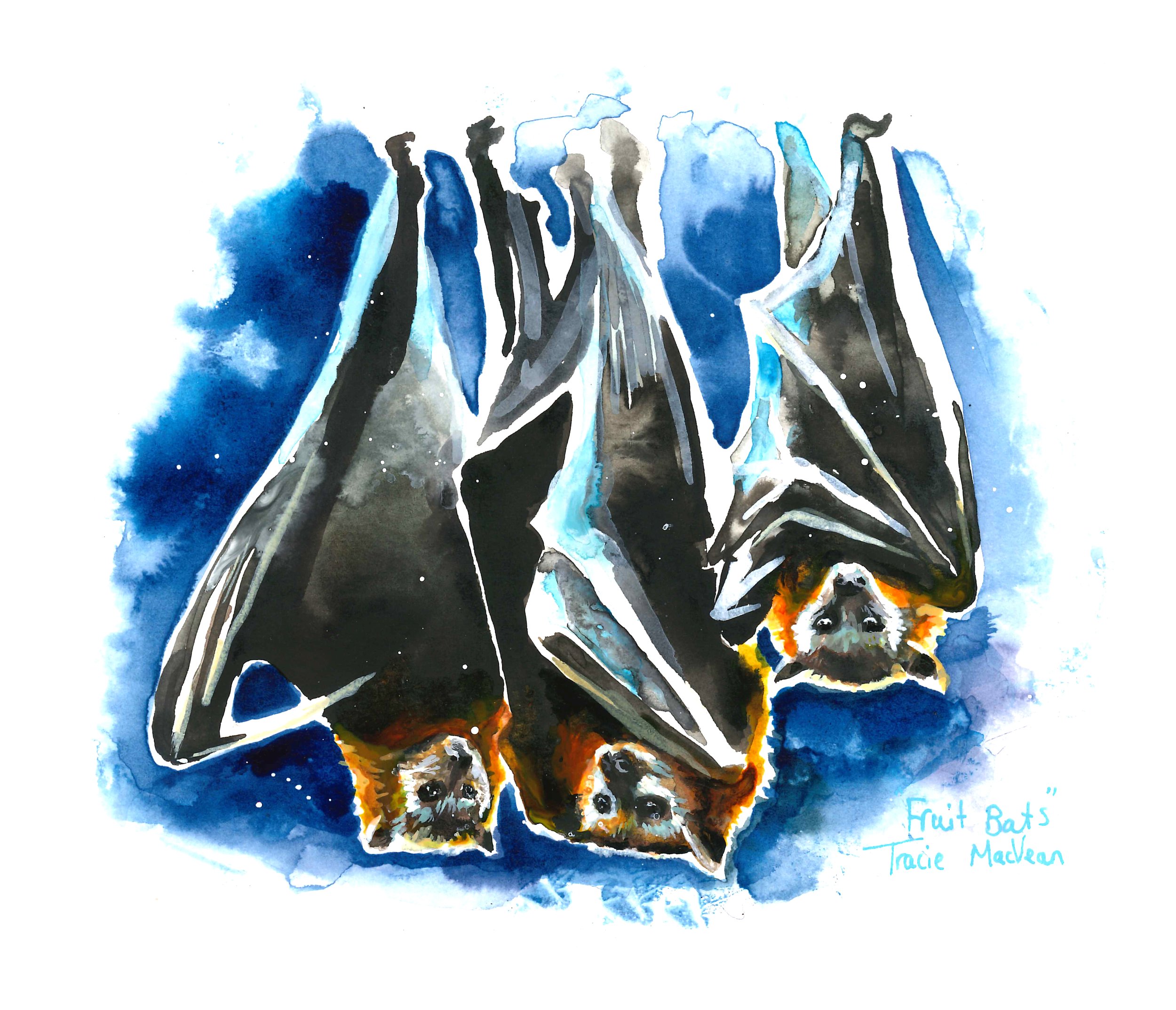 "Fruit Bats" Acrylic ink on paper, 21cm x 21cm