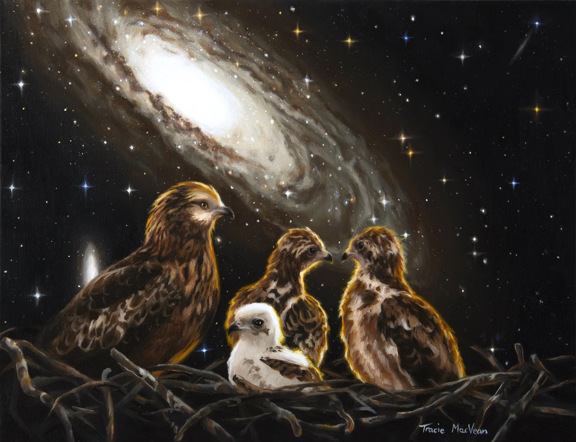 "Visitors to Andromeda" Oil on canvas, 30cm x 40cm