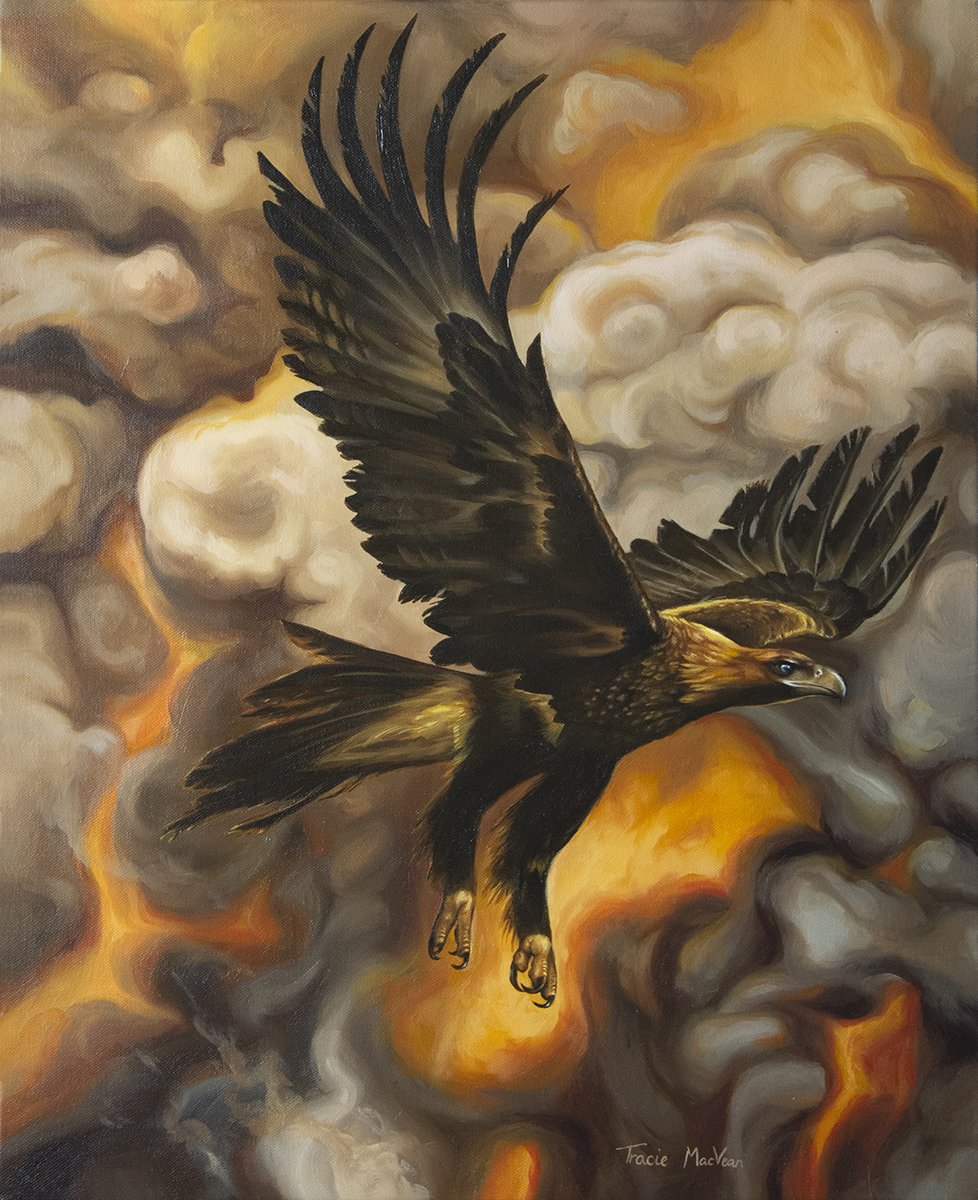 "Wedge Tailed Eagle in the Upheaval" Oil on canvas, 50cm x 60cm