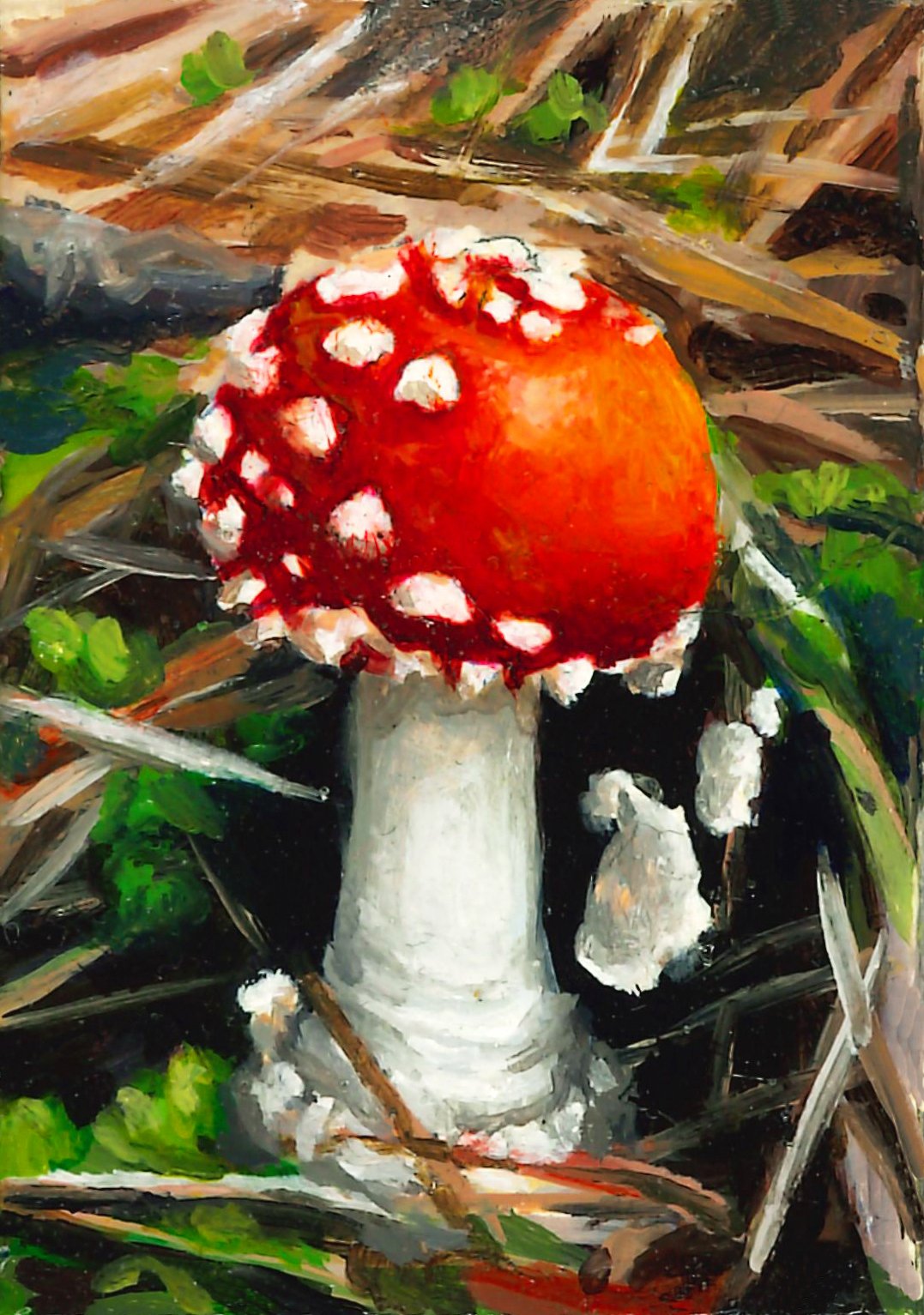 "Amanita Muscaria" Oil on panel, 5cm x 7cm