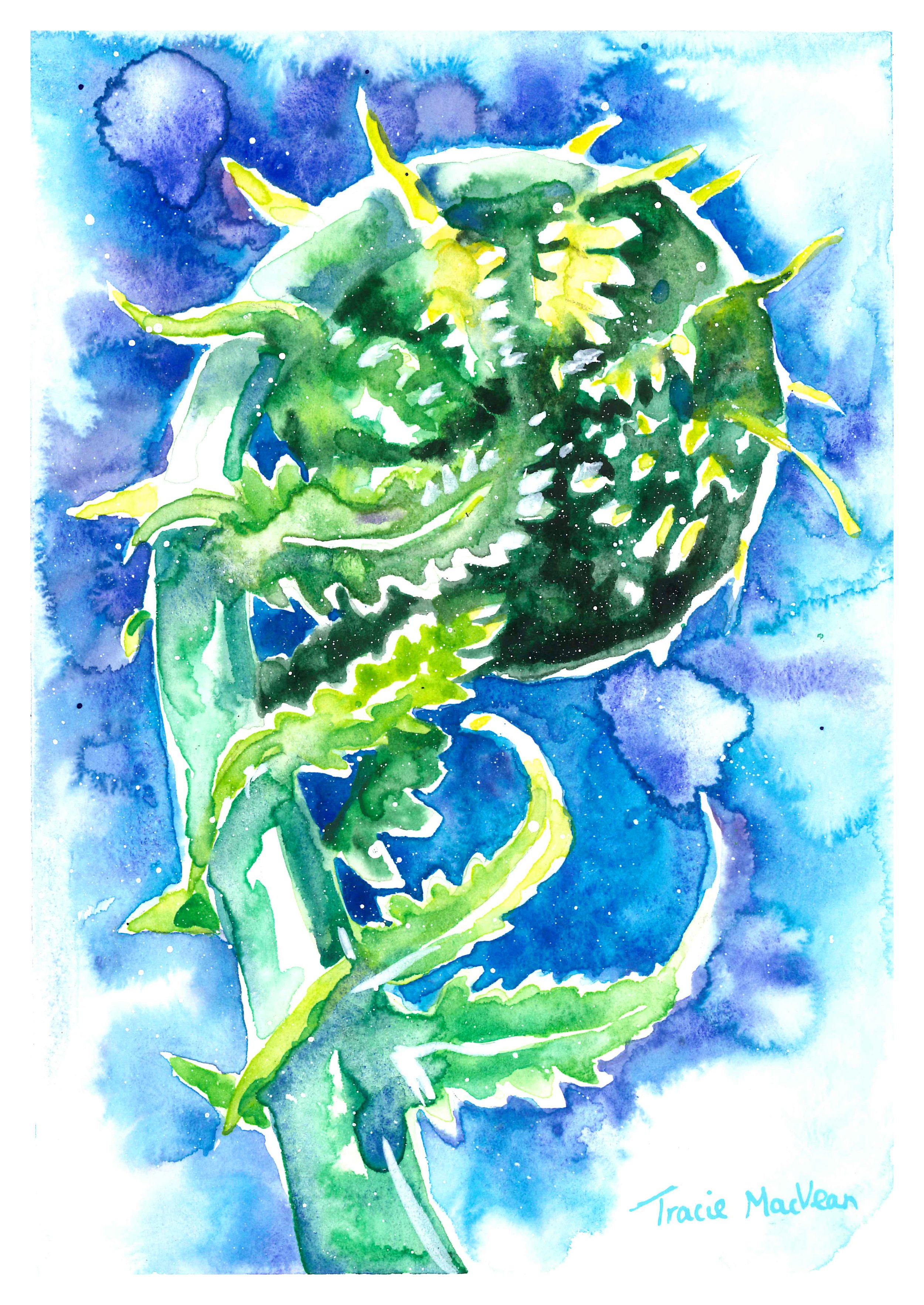 "Fern Curl" Acrylic ink on paper, 15cm x 21cm