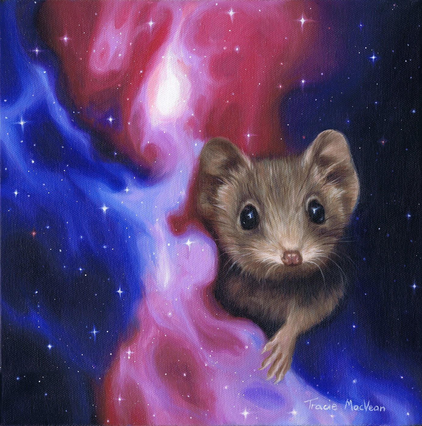 "Antechinus in Space" Oil on canvas, 30cm x 30cm