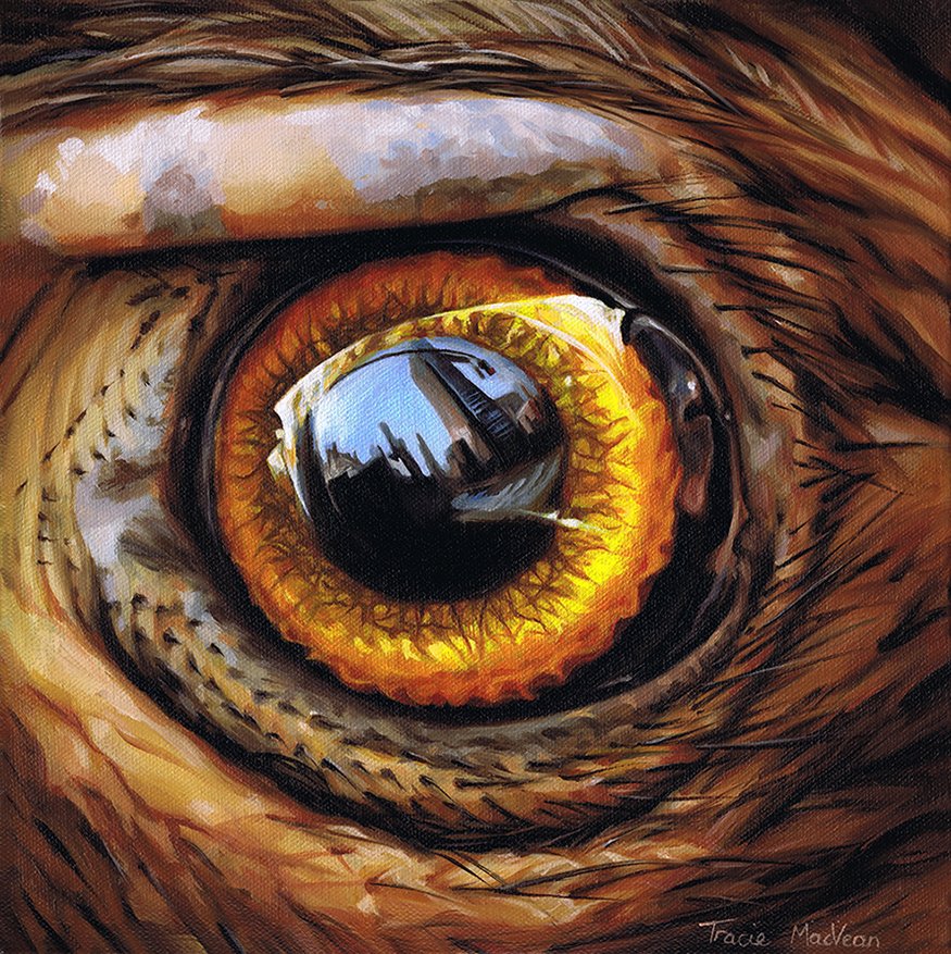 "Urban Bird" Oil on canvas, 30cm x 30cm