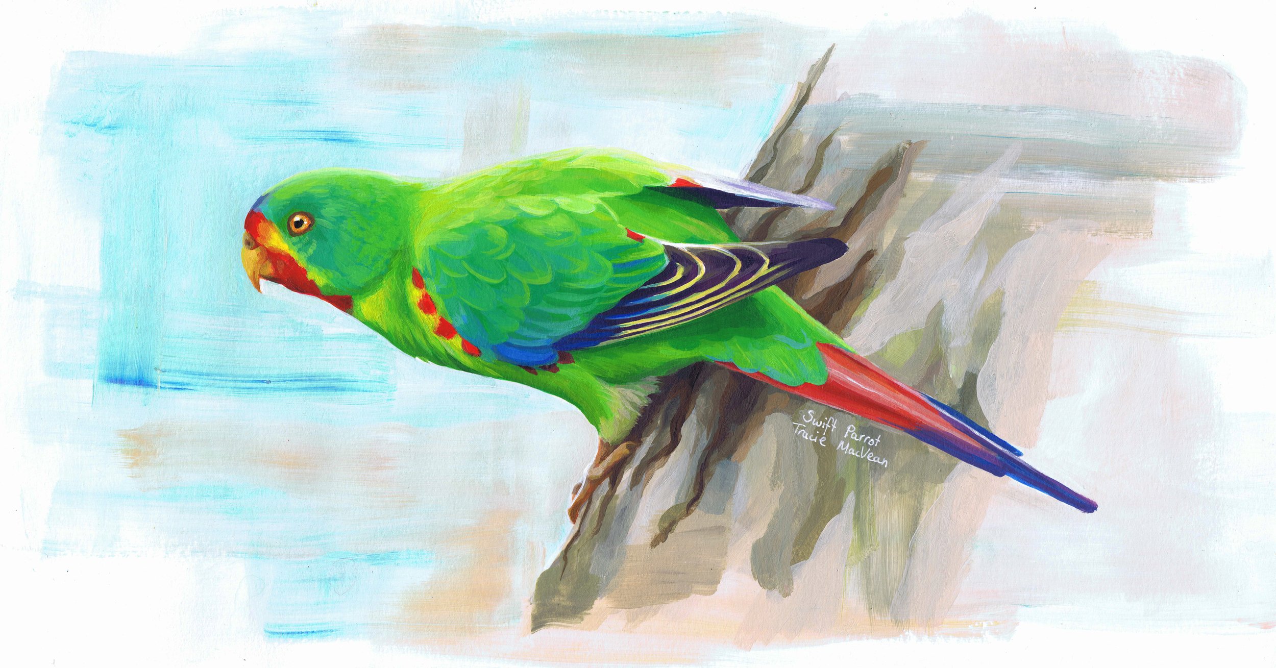 "Swift Parrot" Acrylic on paper, 44cm x 22cm
