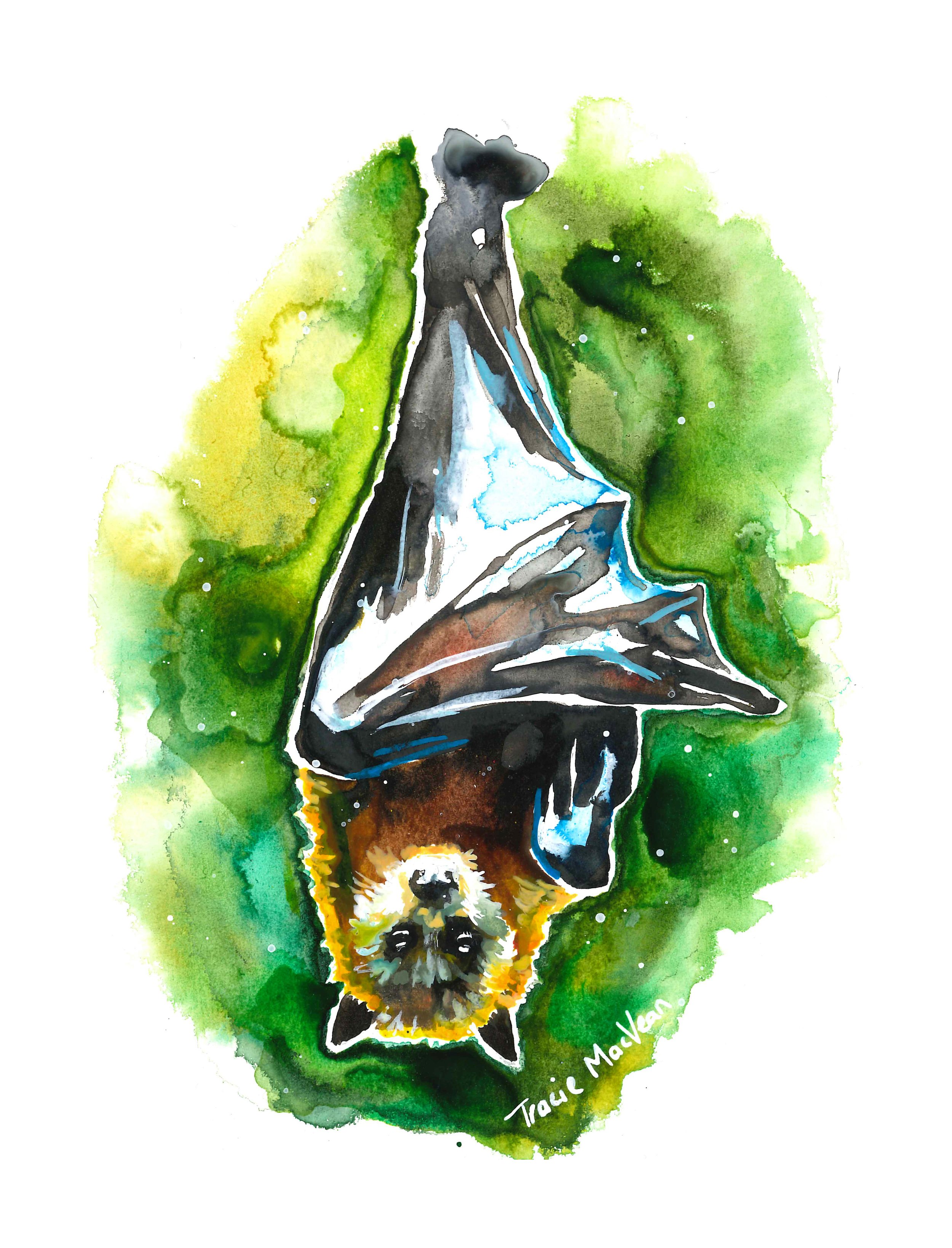 "Fruit Bat" Acrylic ink on paper, 15cm x 21cm