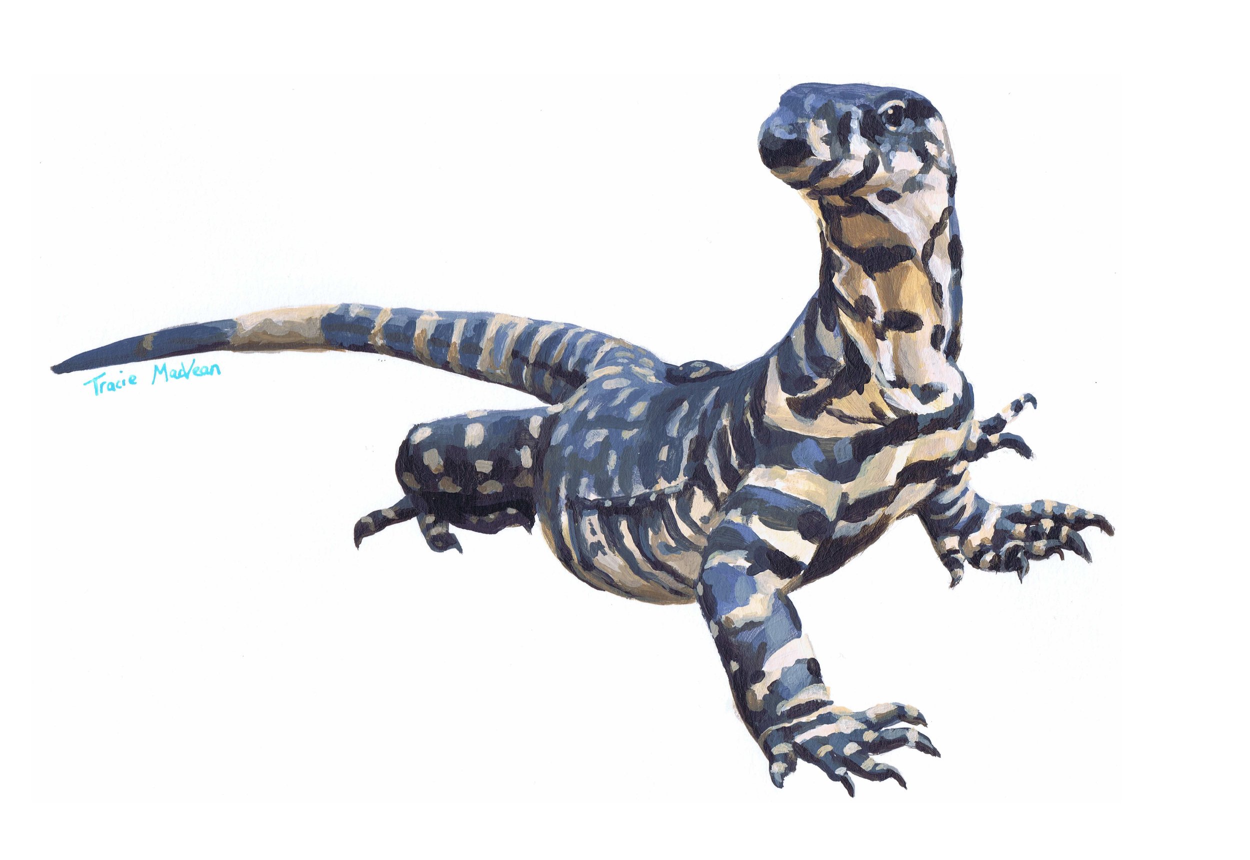 "Goanna" Acrylic on paper, 30cm x 21cm