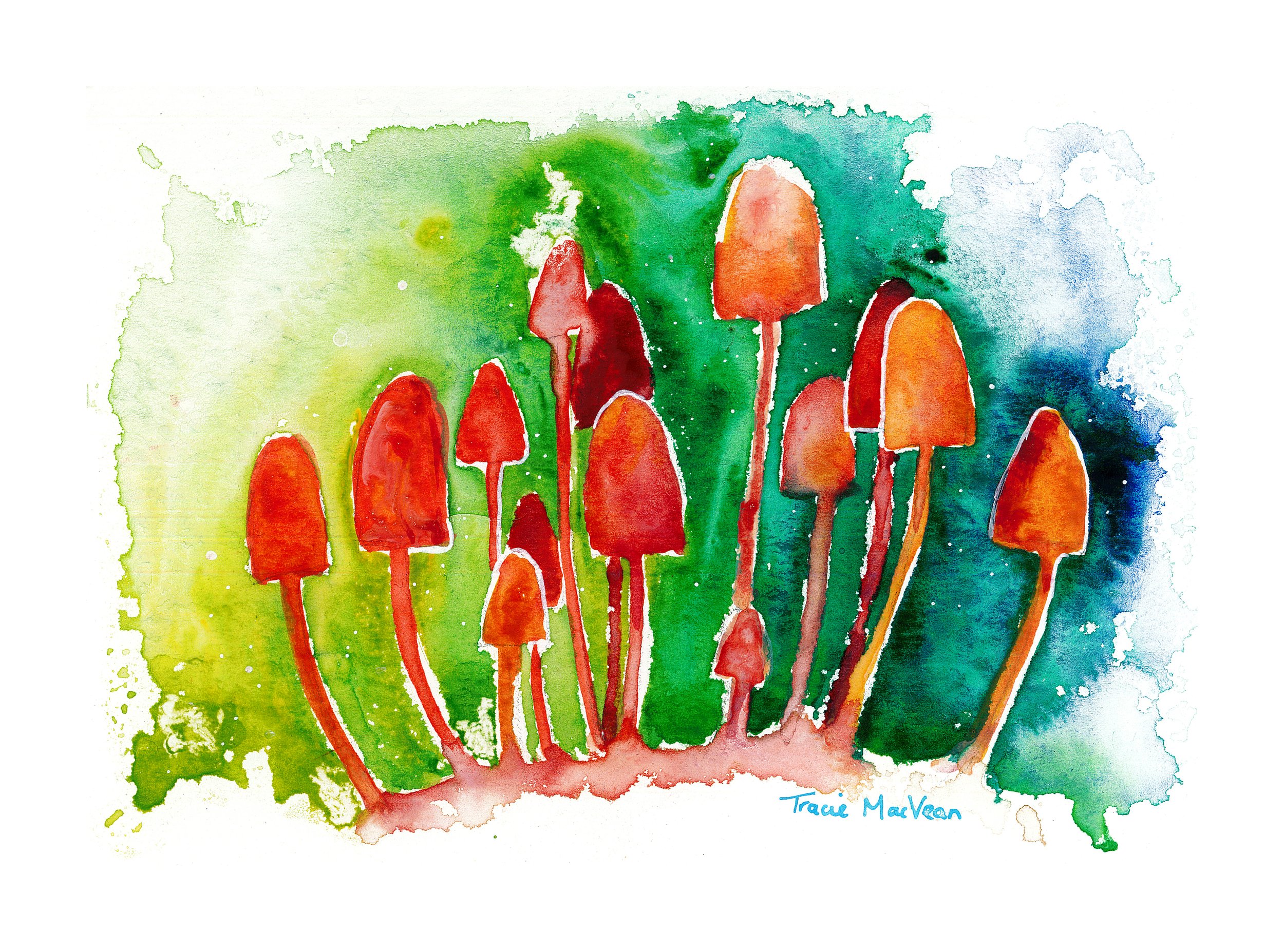"Mycena" Watercolour on paper, 21cm x 15cm