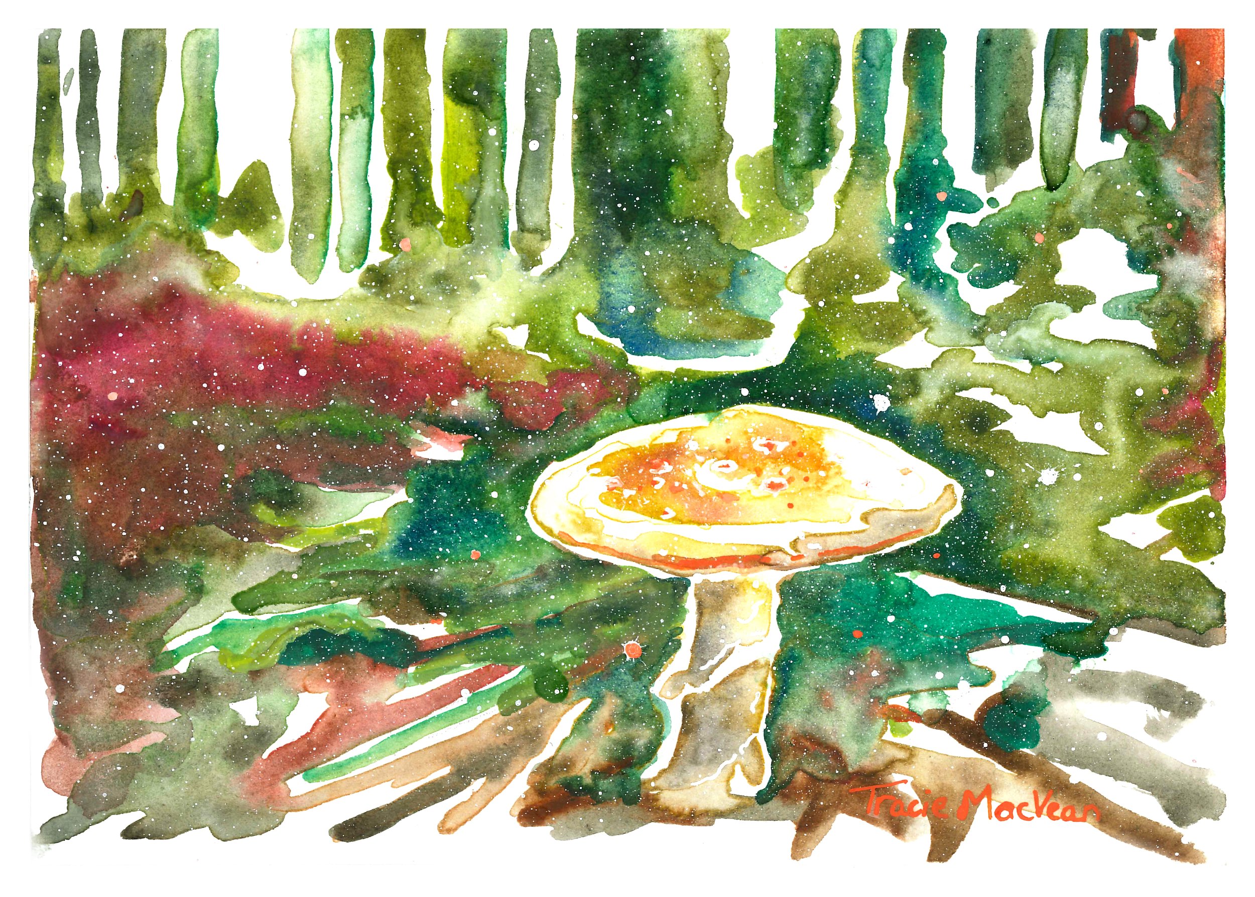 "Forest Fungi" Watercolour on paper, 21cm x 15cm