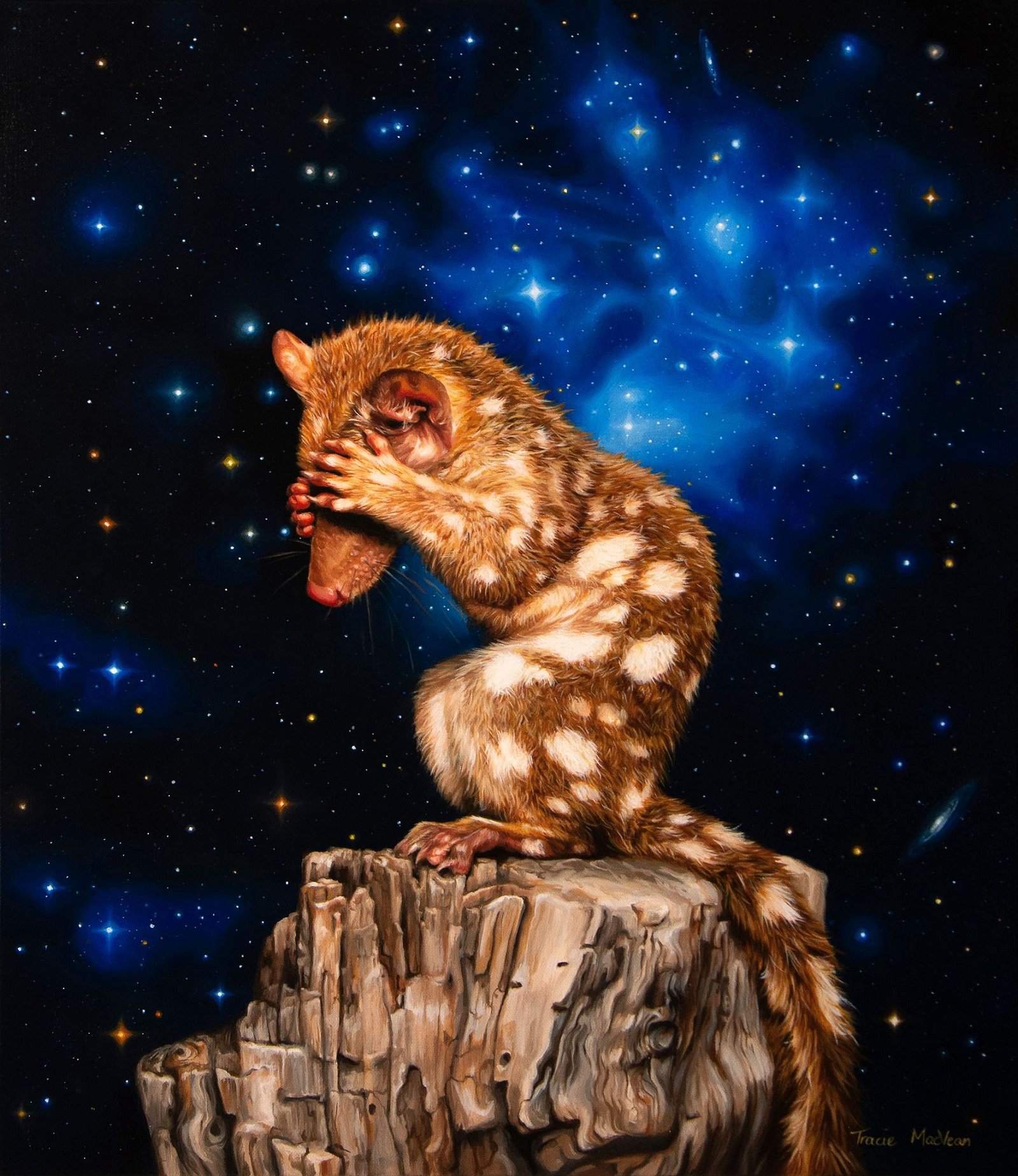 Polka-Dotted and Star Shy" Oil on canvas, 50cm x 60cm