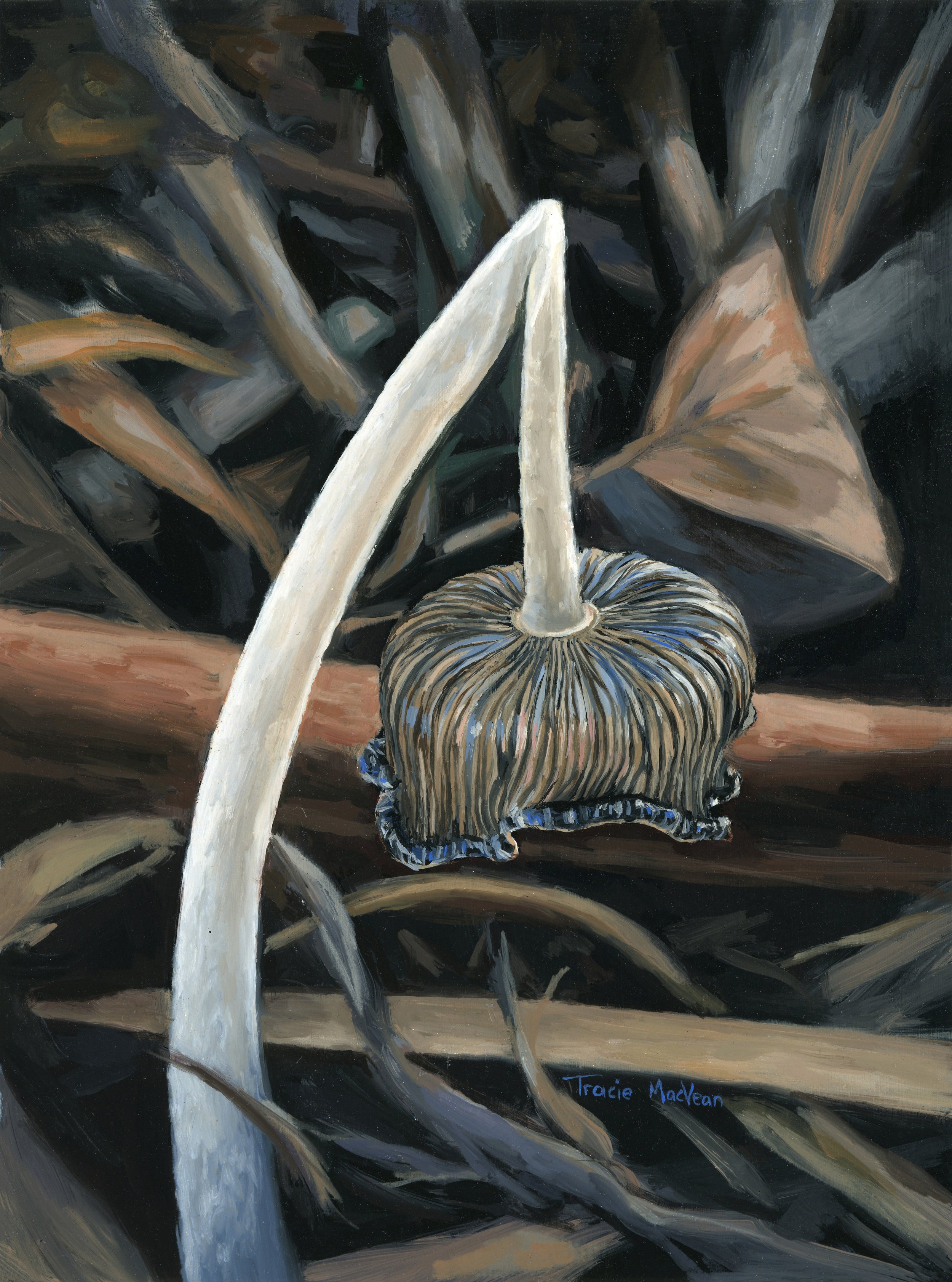 "Ink Cap" Oil on canvas, 15.5cm x 20.5cm