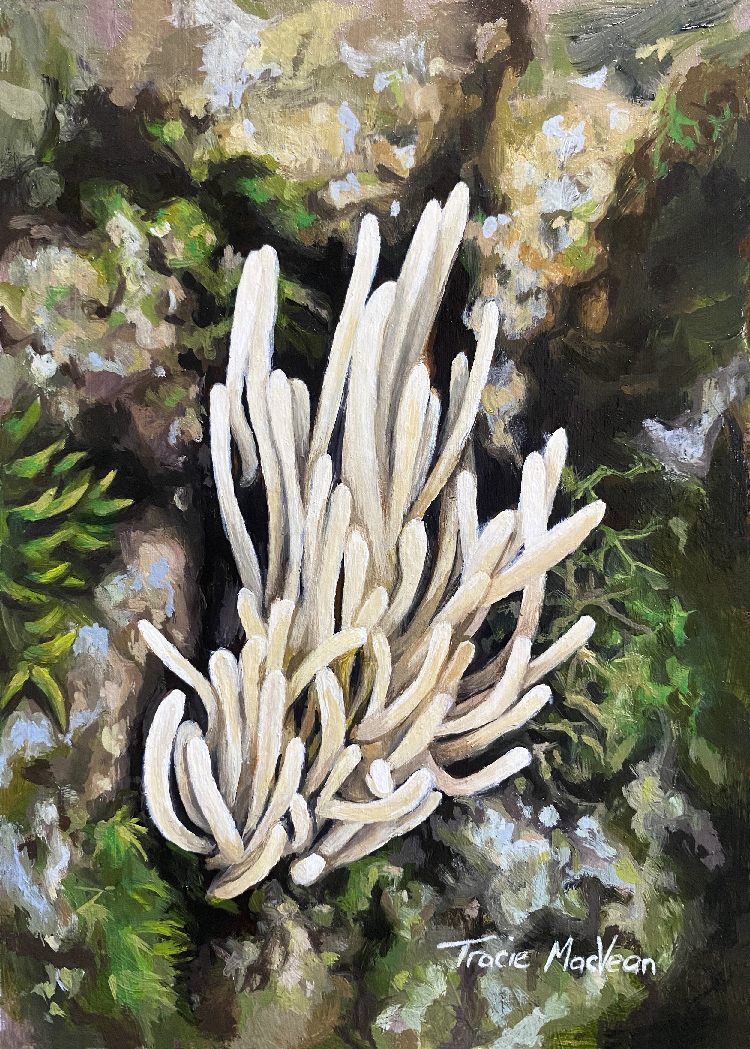 "Clavaria Fragilis" Oil on panel, 13cm x 17cm