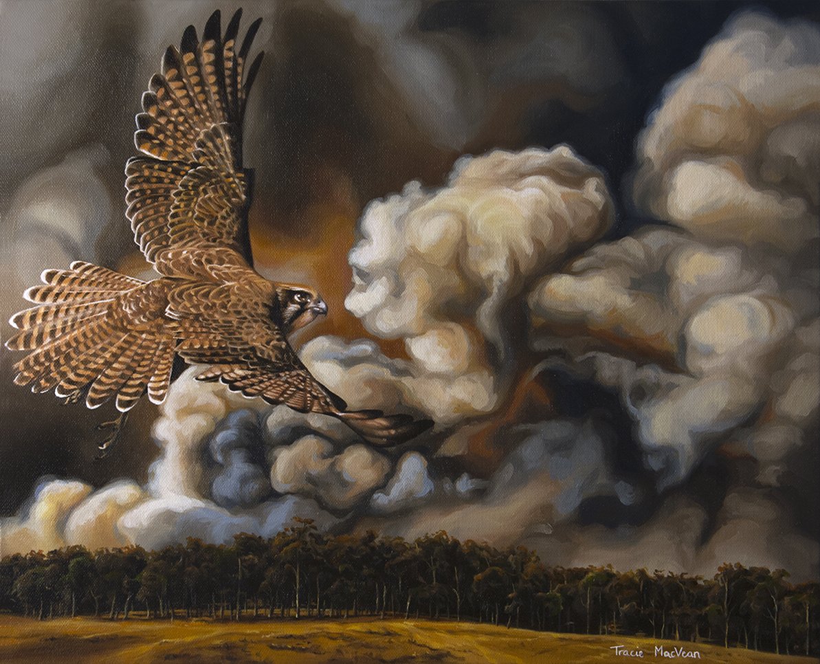"Winging It" Oil on canvas, 50cm x 40cm
