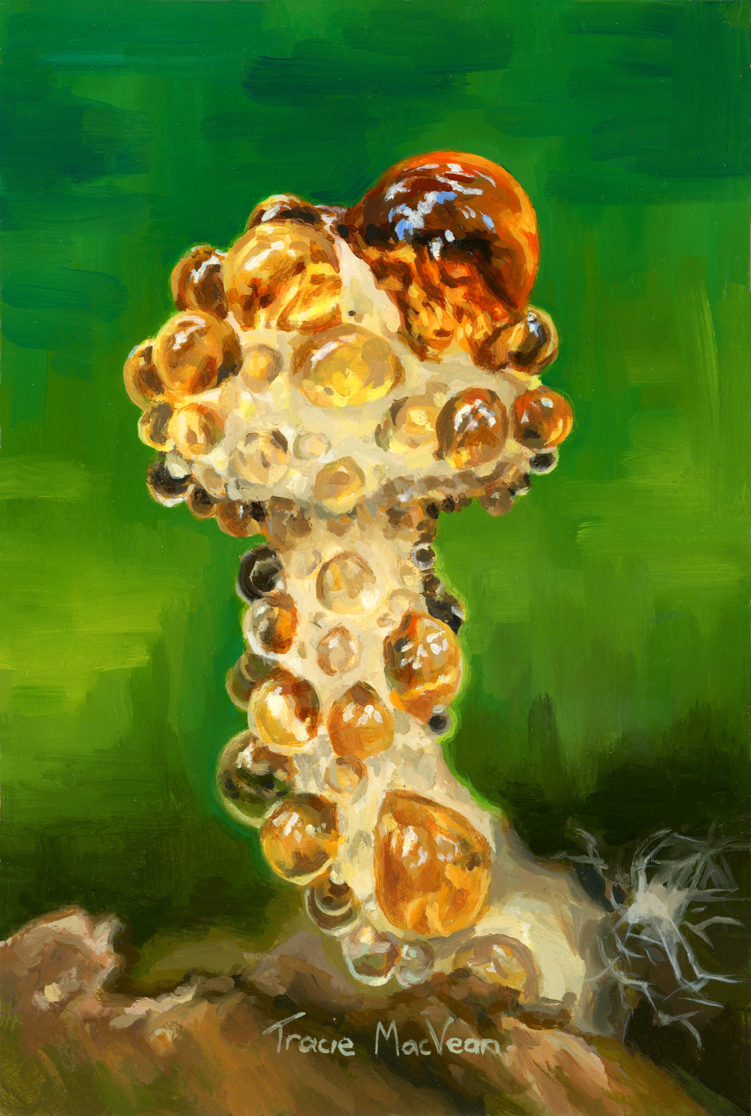 "Amber Guttation on Tiny Mushroom" Oil on panel, 10.5cm x 15.5cm