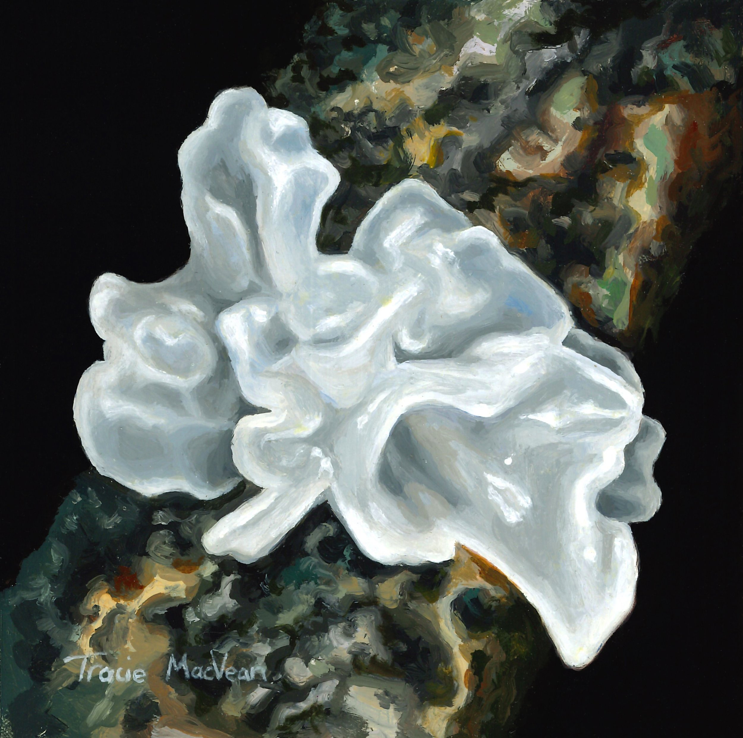 "Tremella Fuciformis" Oil on canvas, 13cm x 13xm