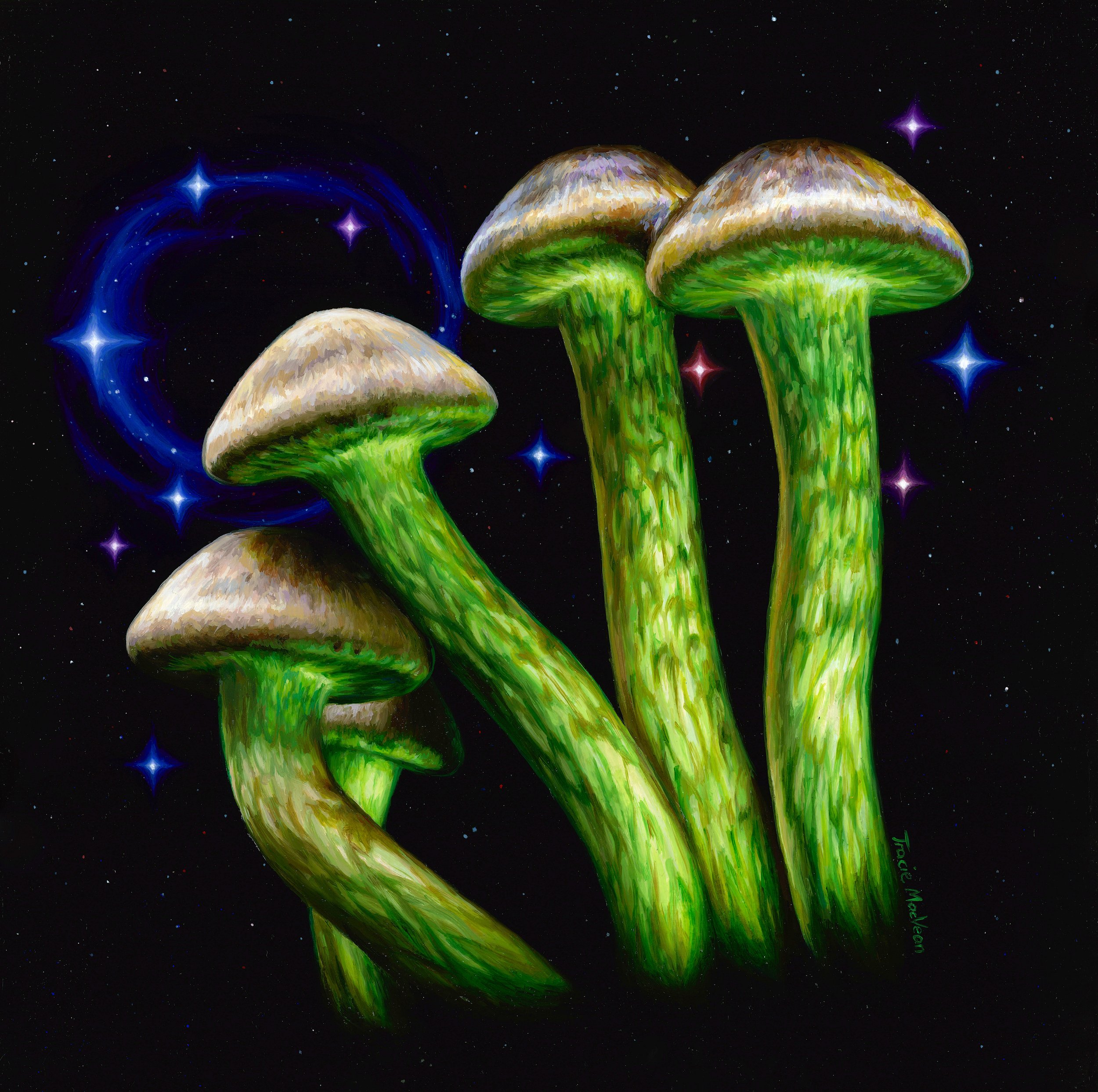 "Hypholoma Fasciculare" Oil on panel, 40cm x 40cm