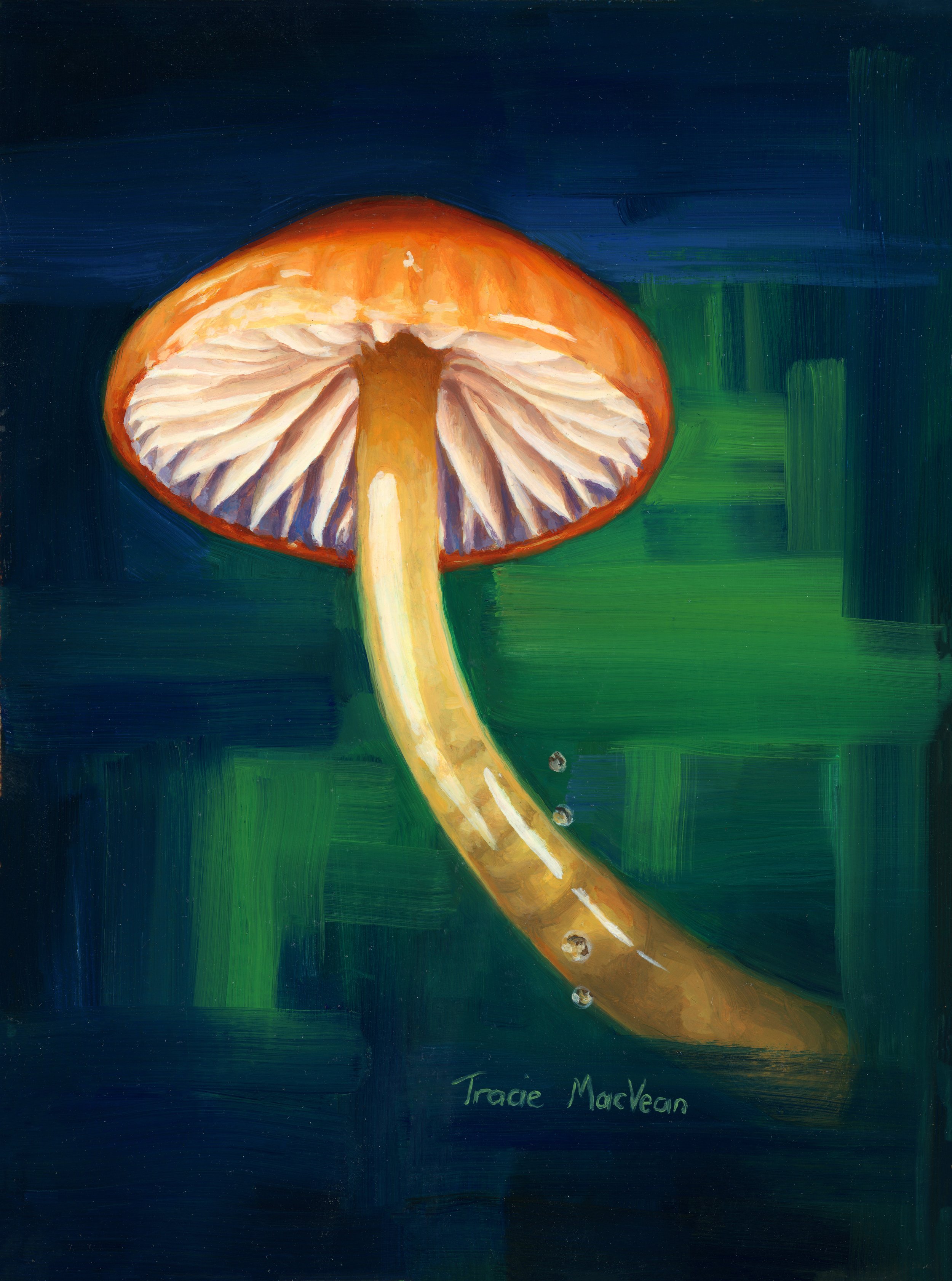 "Gliophorus" Oil on panel, 15.5cm x 20.5cm