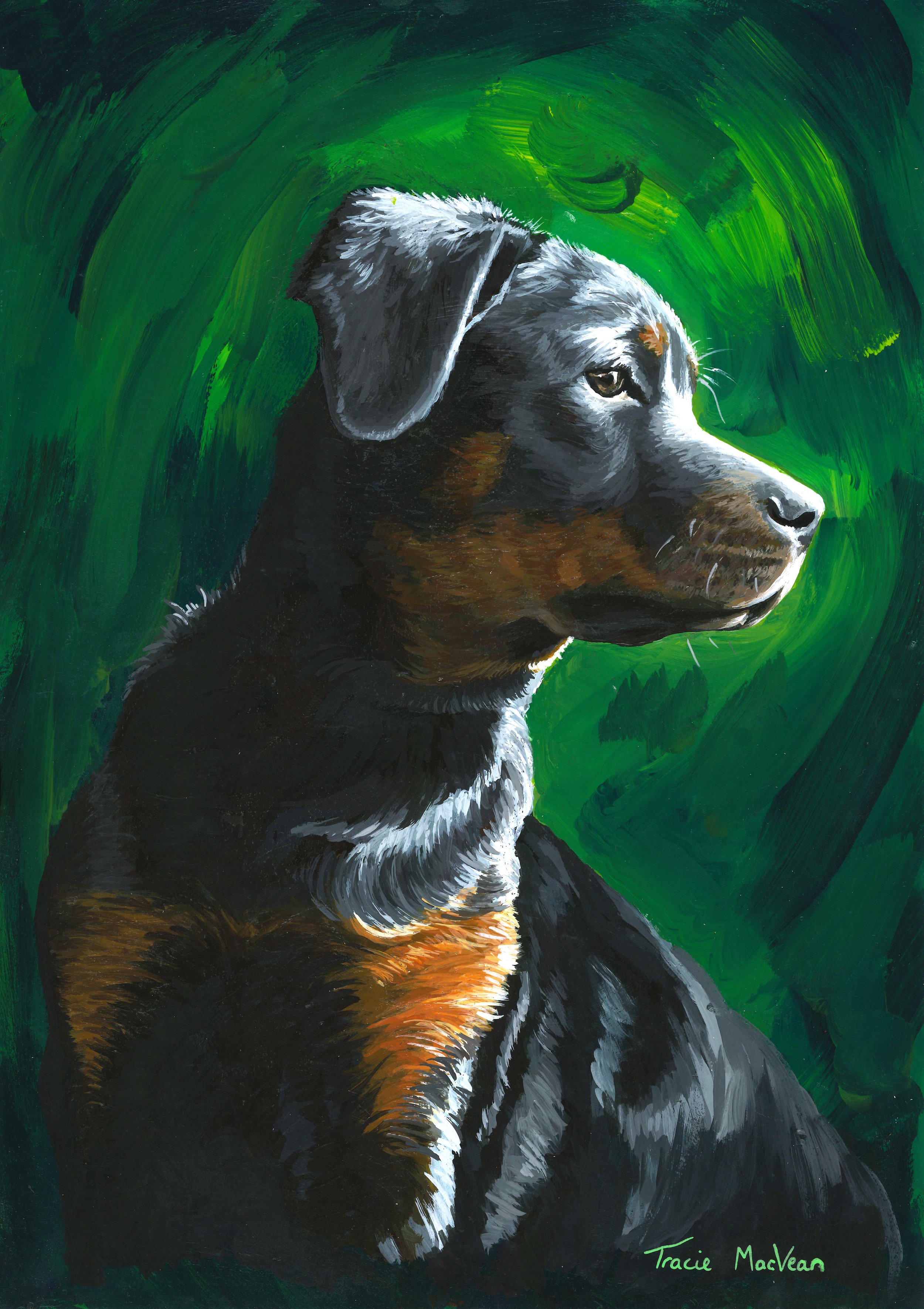 "Rottweiler" Acrylic on paper, 30cm x 42cm