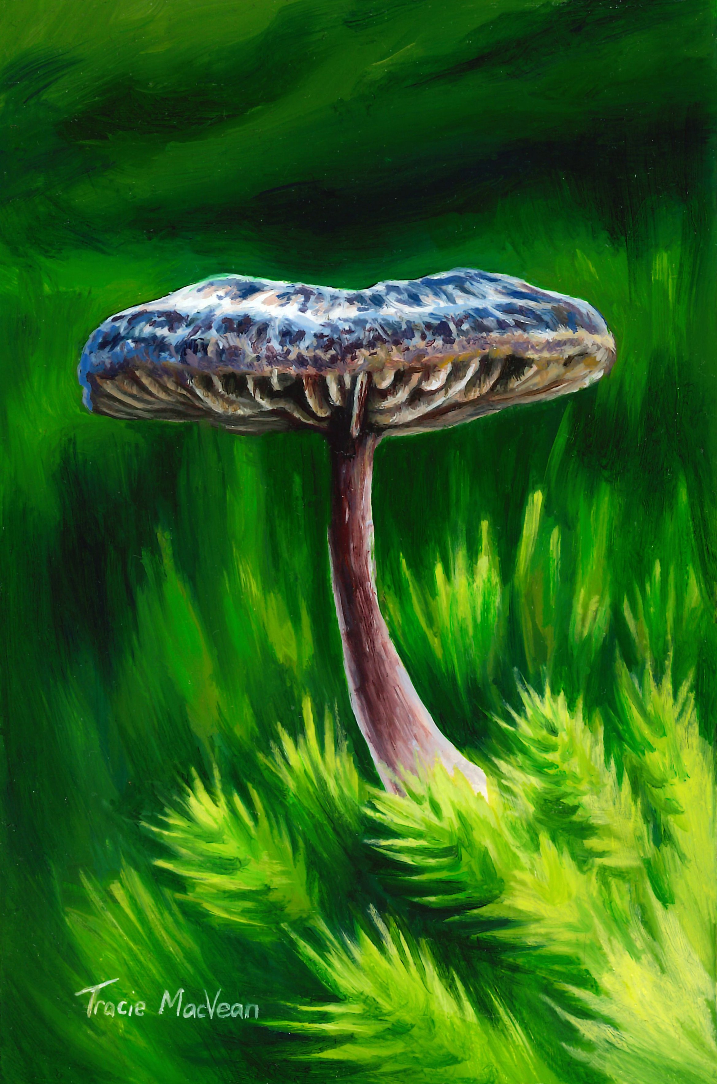 "Entoloma percrinitum" Oil on panel, 10cm x 15cm