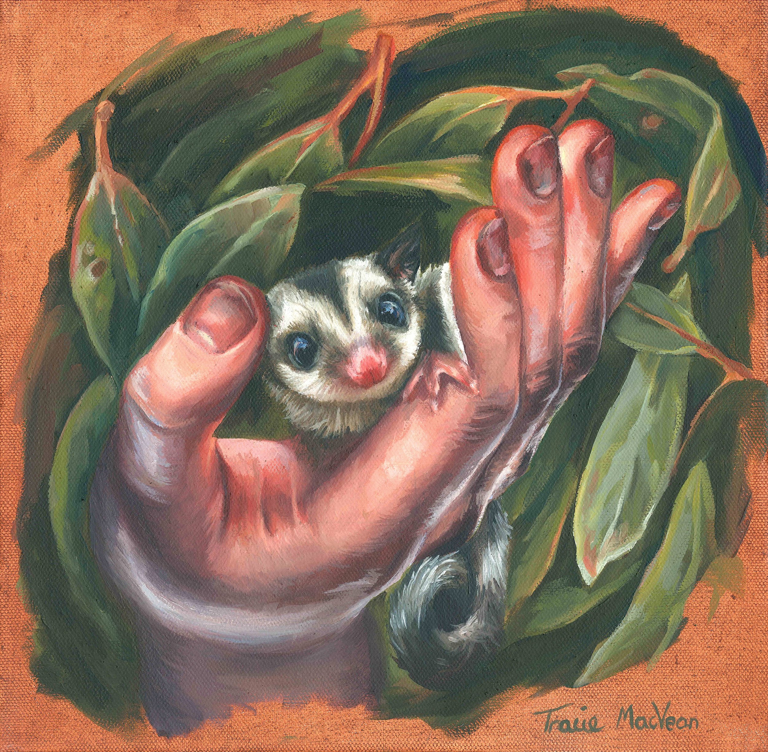 "The Hand That Feeds" Oil on canvas, 30cm x 30cm