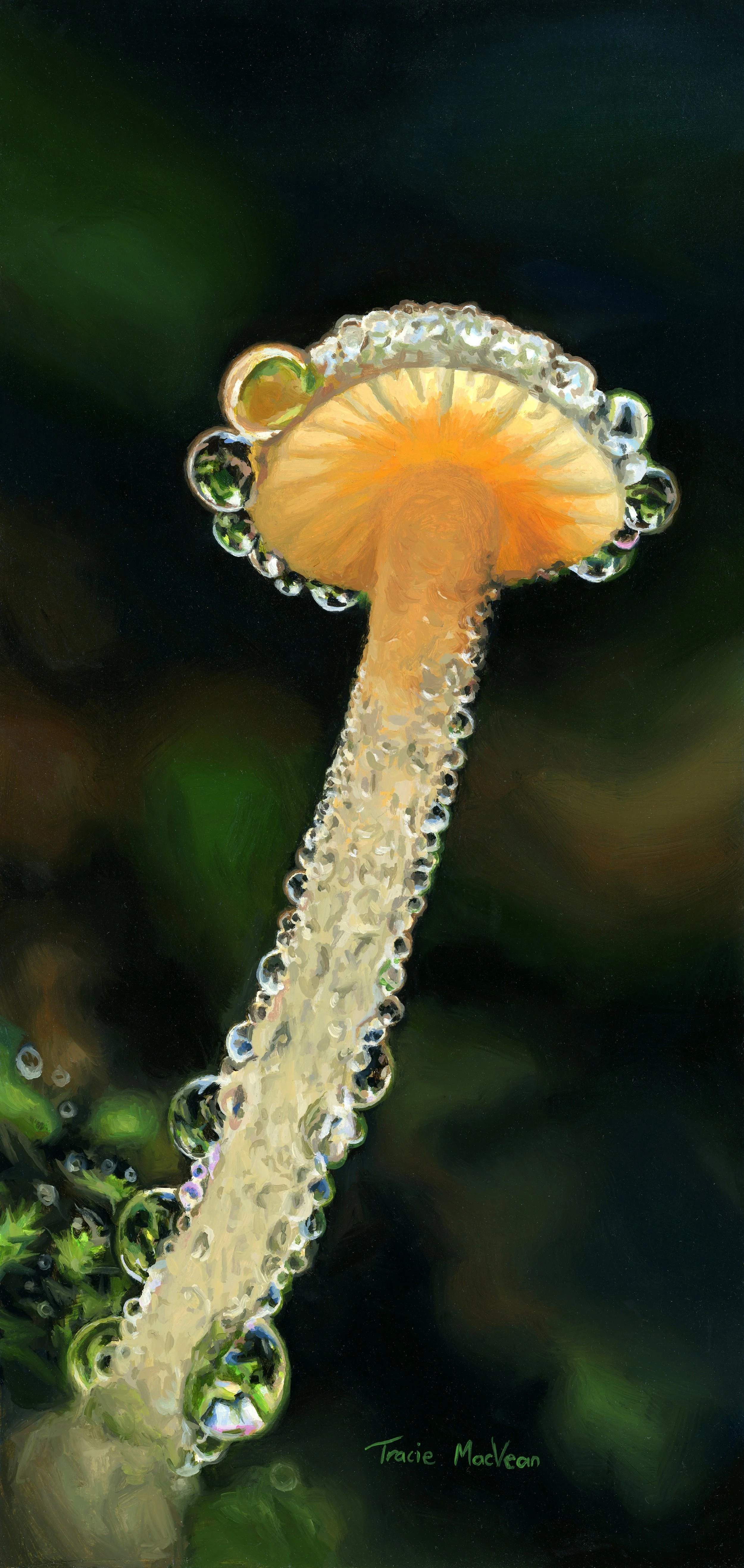 "Dewy Mycena" Oil on panel, 16.5cm x 34cm