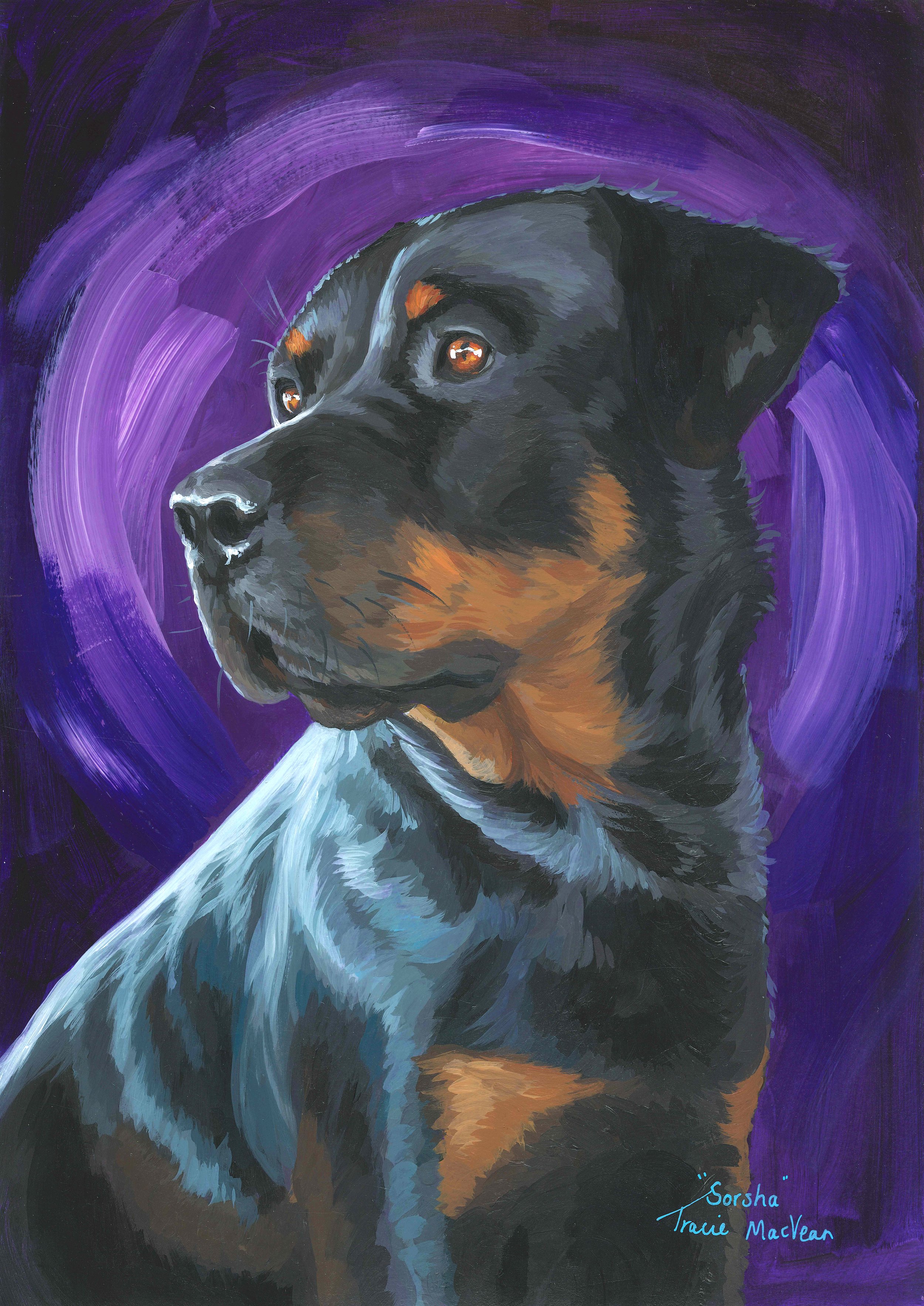 "Rottweiler" Acrylic on paper, 30cm x 42cm