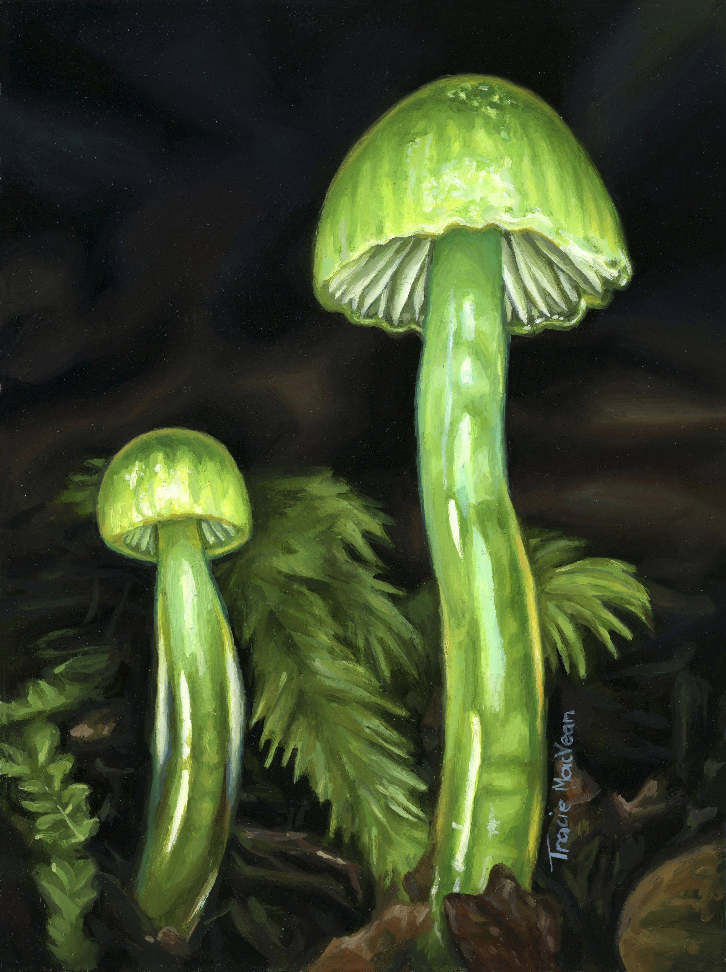 "Gliophorus Viridis" Oil on panel, 15.5cm x 20.4cm