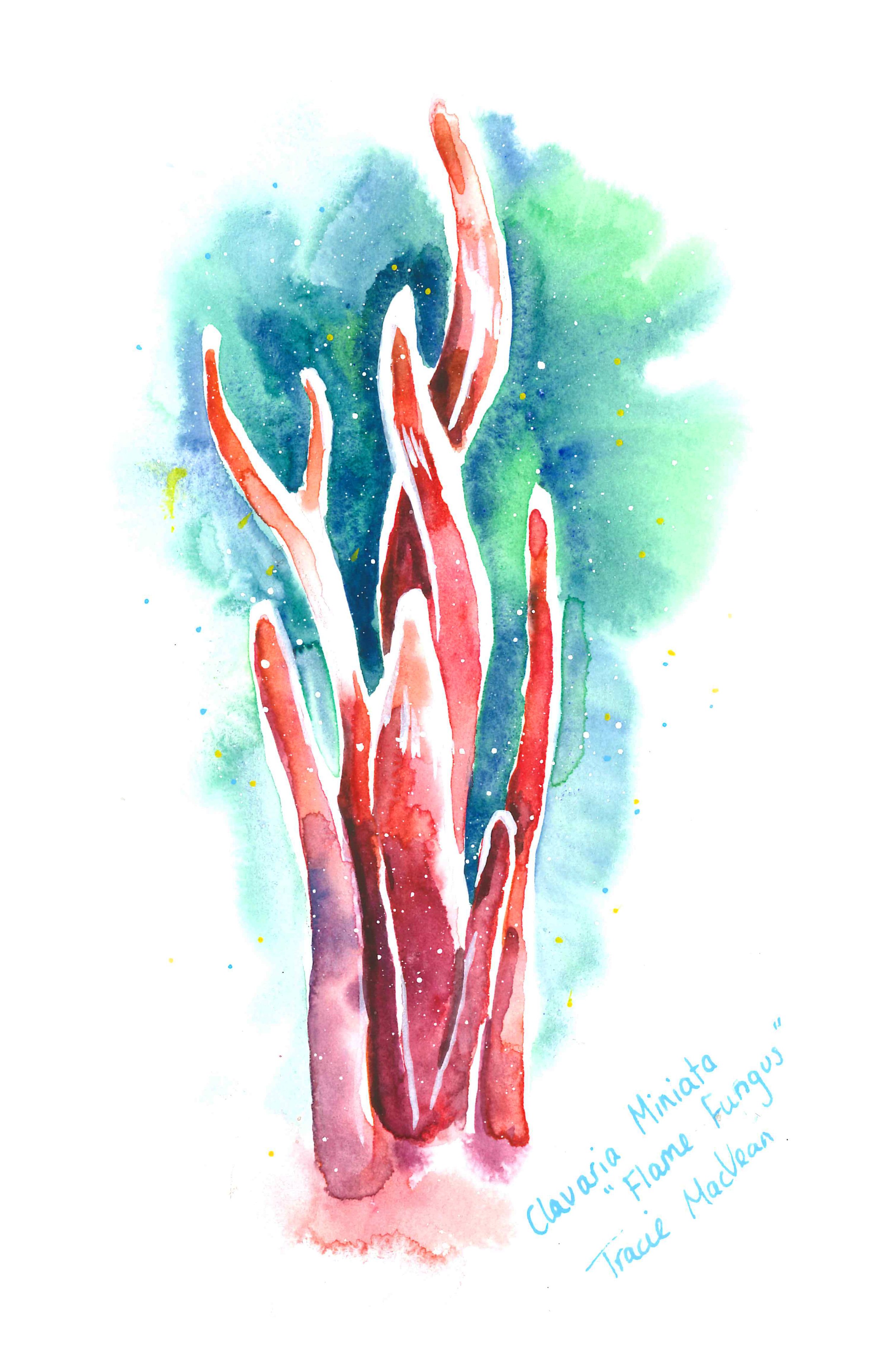 "Flame Fungus" 15cm x 21cm