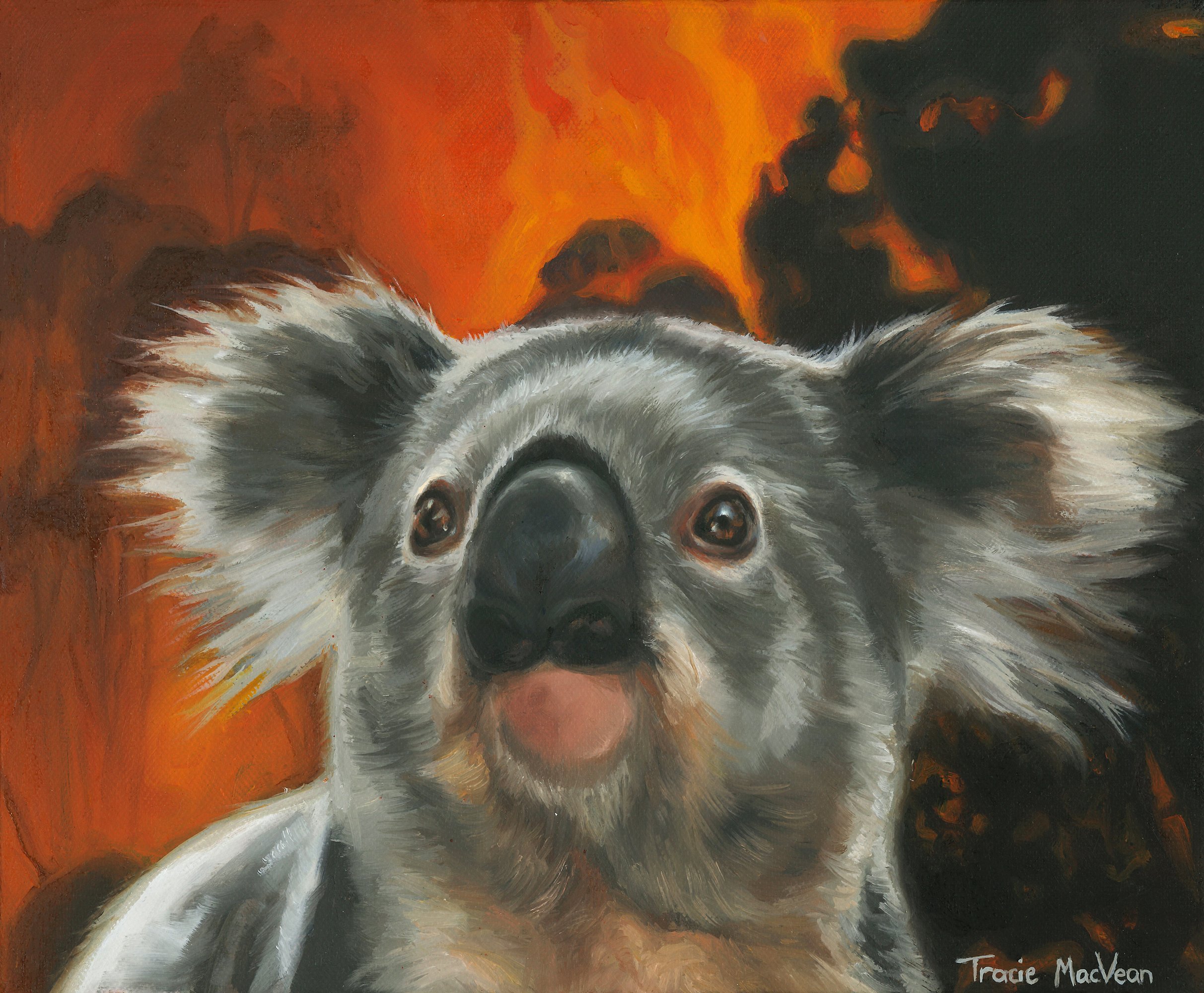 "Koala Flees the Bush Fire" Oil on canvas, 25cm x 30cm