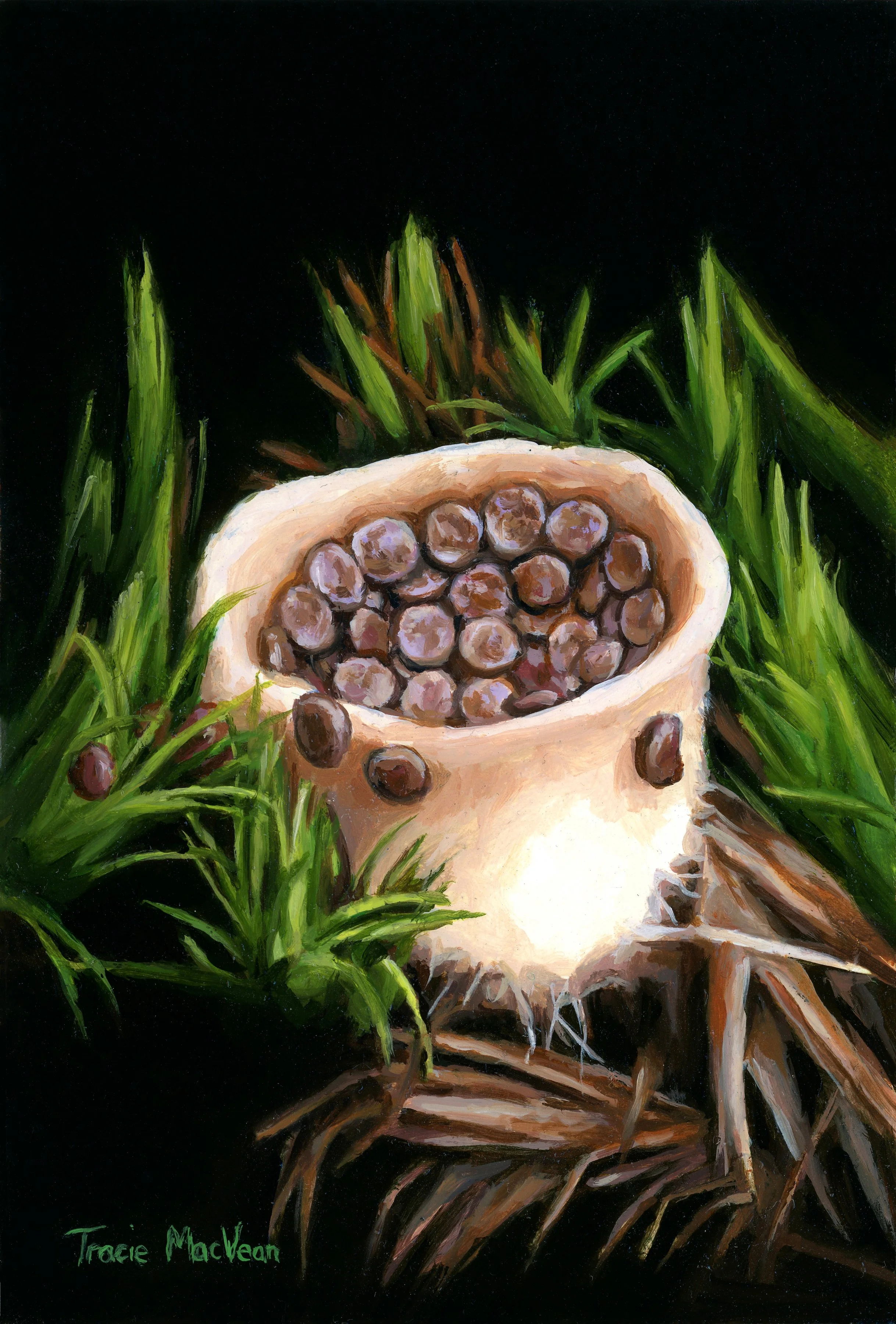 "Nidula" Oil on panel, 10cm x 15cm