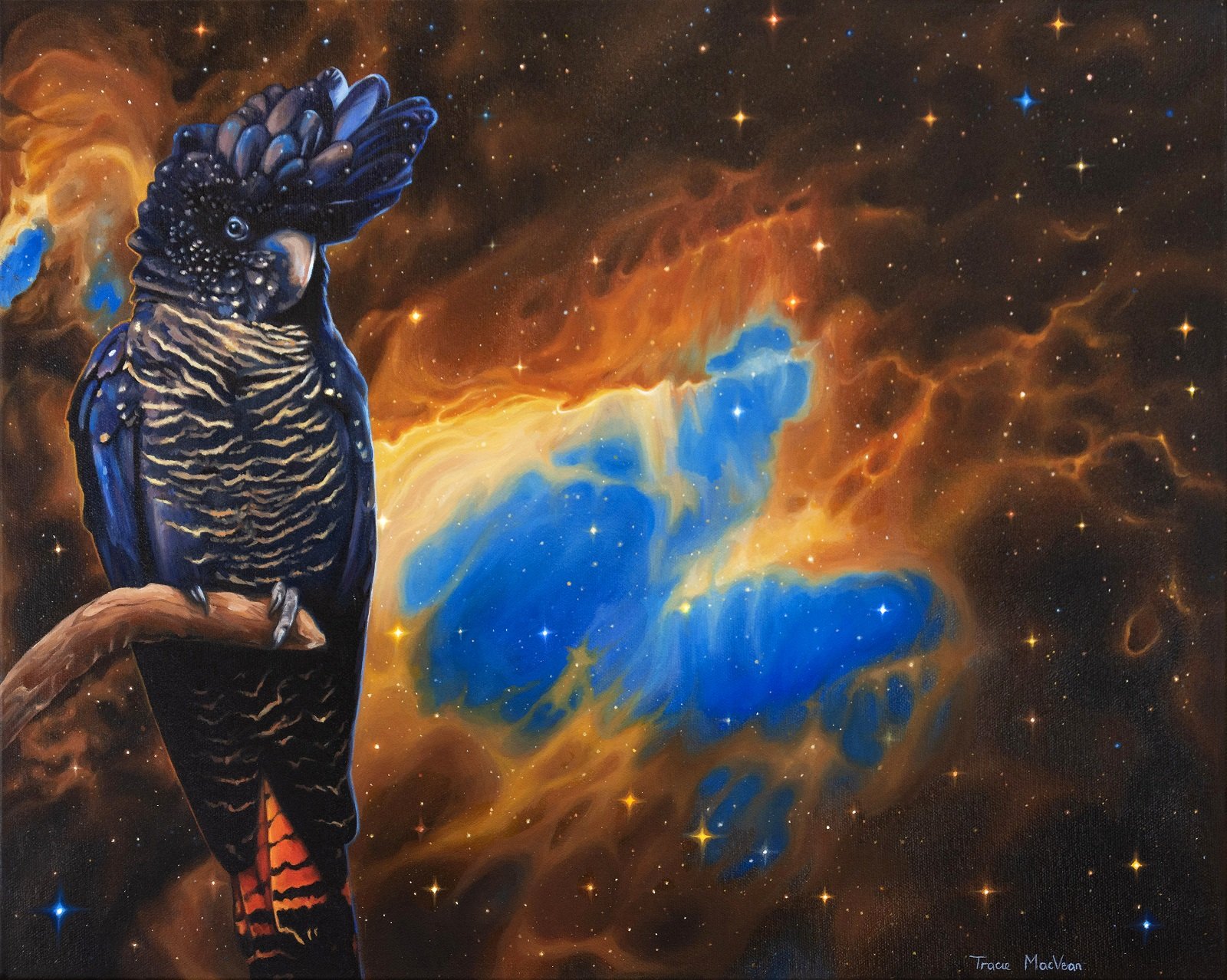 "Universal Flight of the Red-Tailed Black Cockatoo" Oil on canvas, 40cm x 30cm