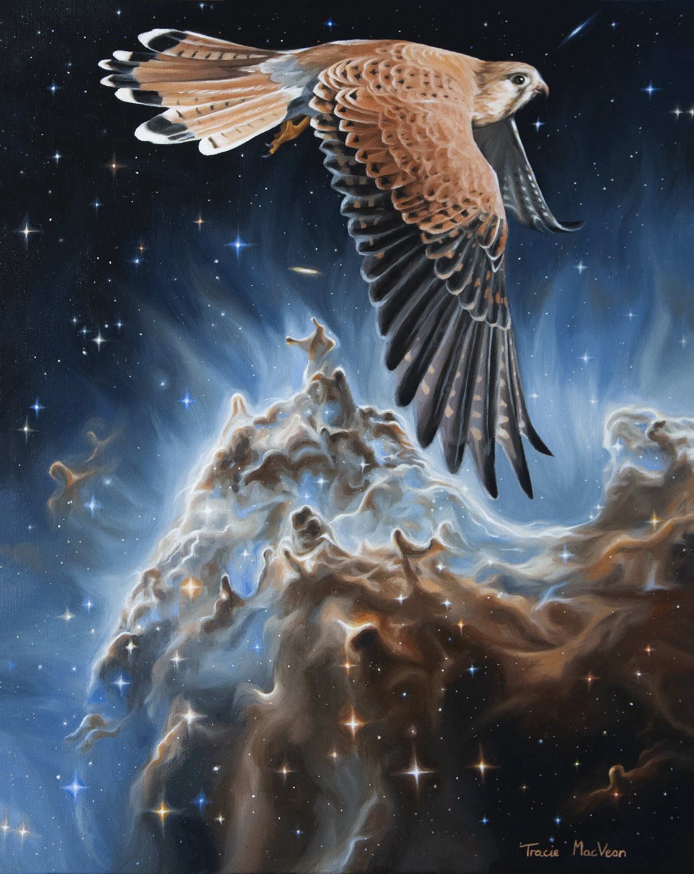 "Soaring Above" Oil on canvas, 50cm x 40cm