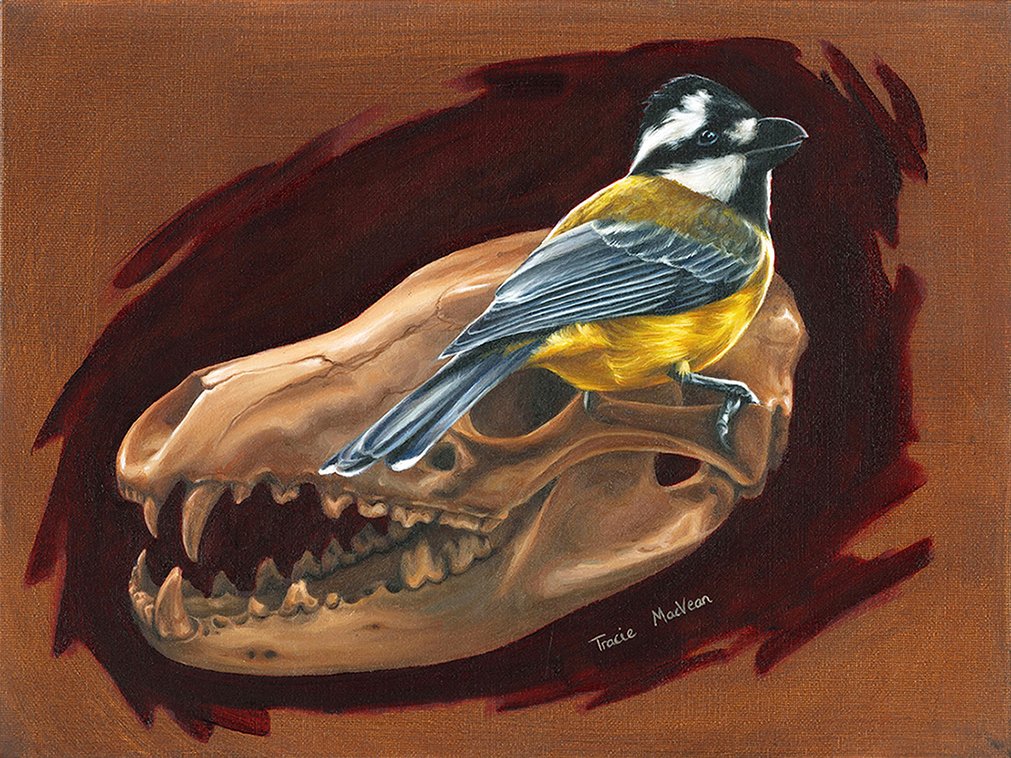 "Here Today Gone Tomorrow" Oil on canvas, 30cm x 40cm