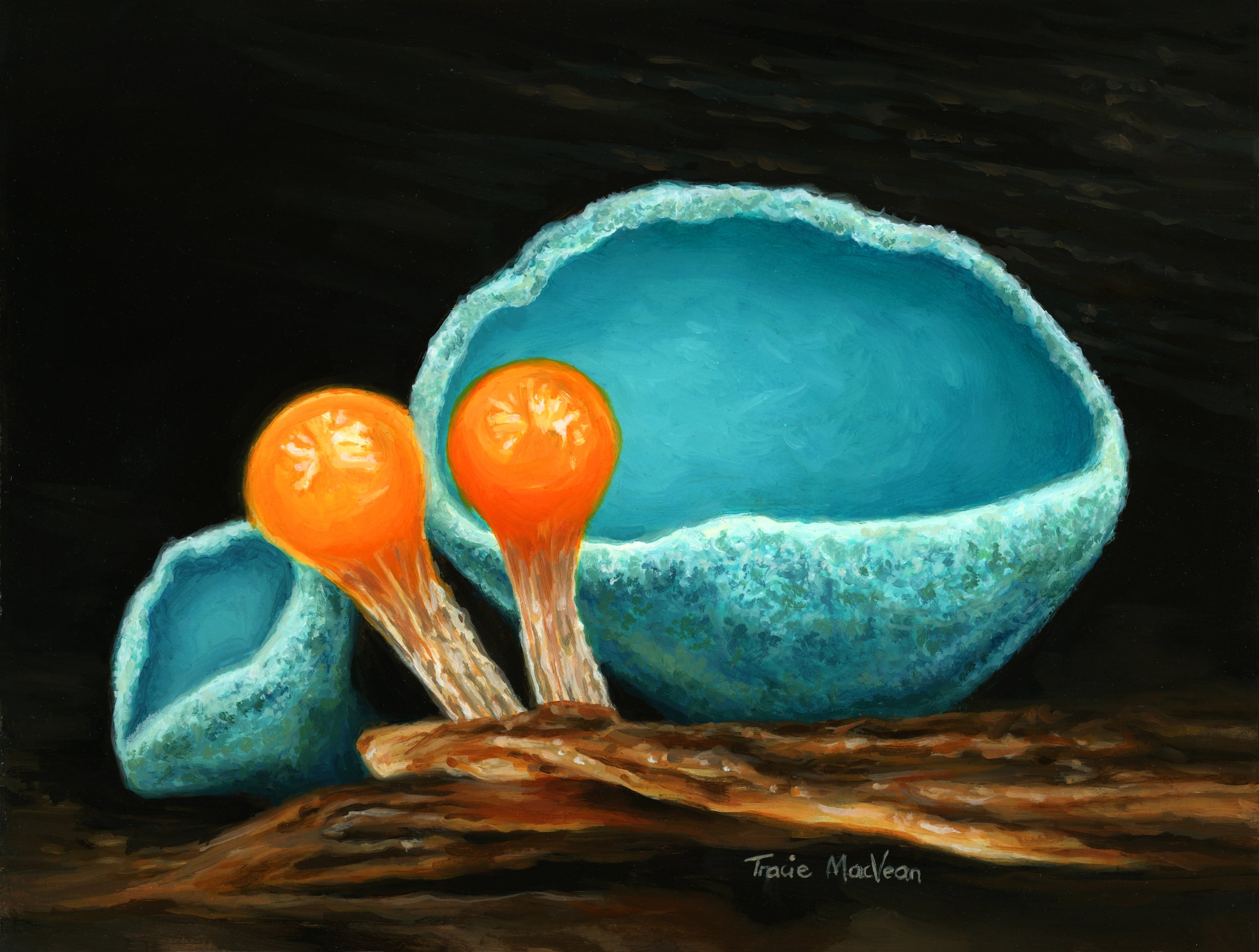 "Cup and Slime Mould" Oil on panel, 15.5.cm x 20.5cm
