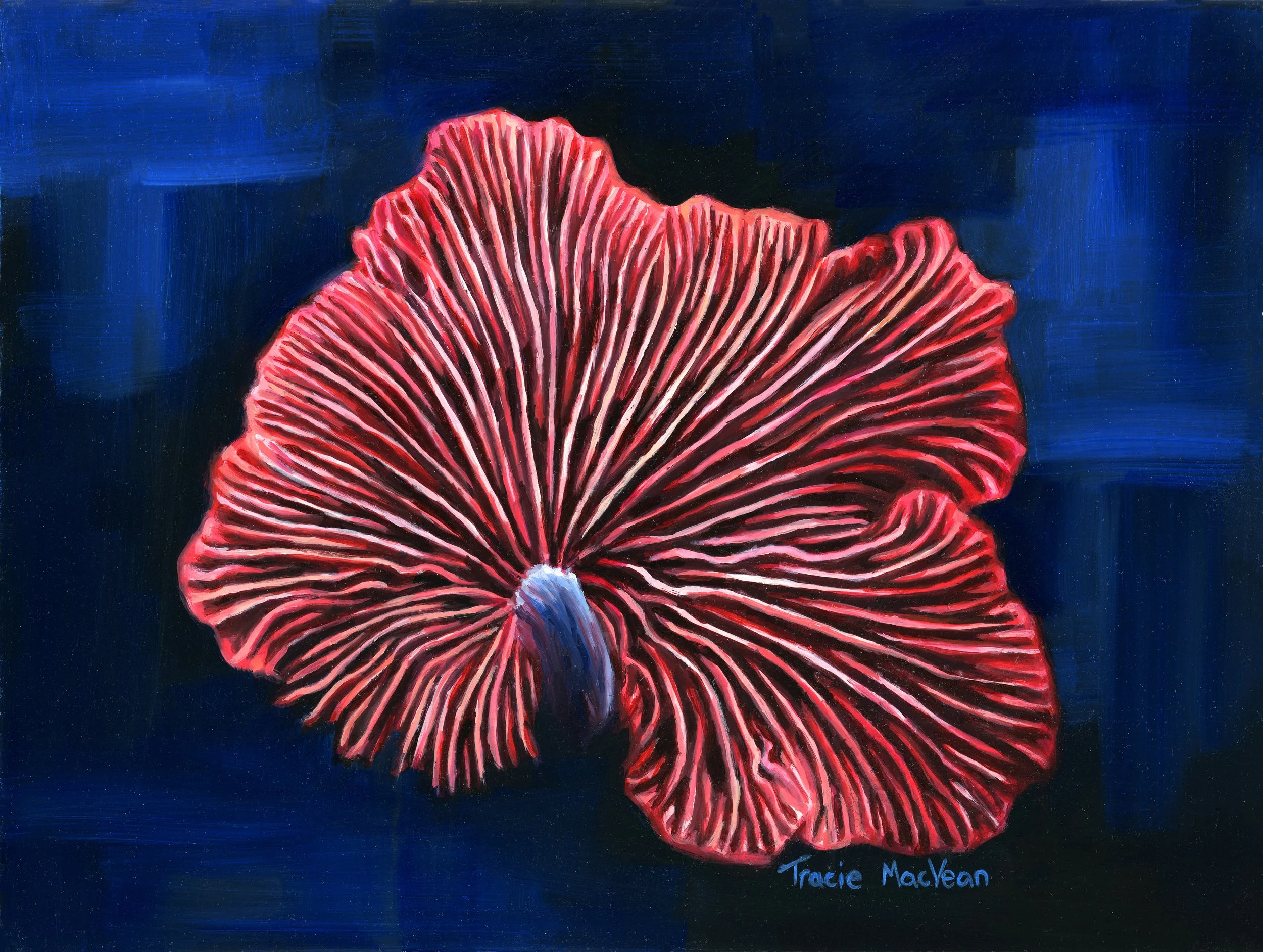 "Wood Oysterling" Oil on panel, 20.5cm x 15.5cm