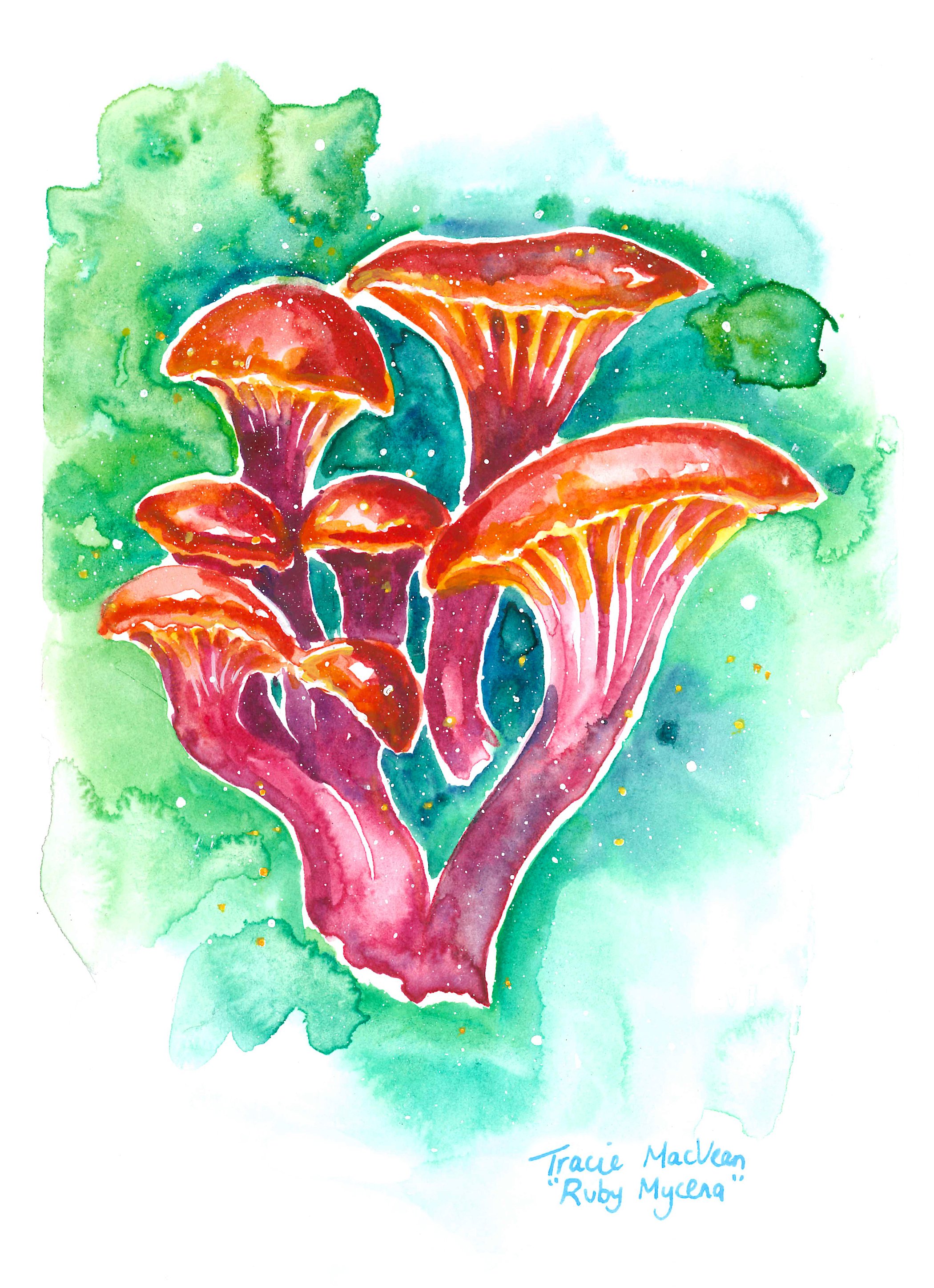 "Ruby Mycena" Acrylic ink on paper, 15cm x 21cm