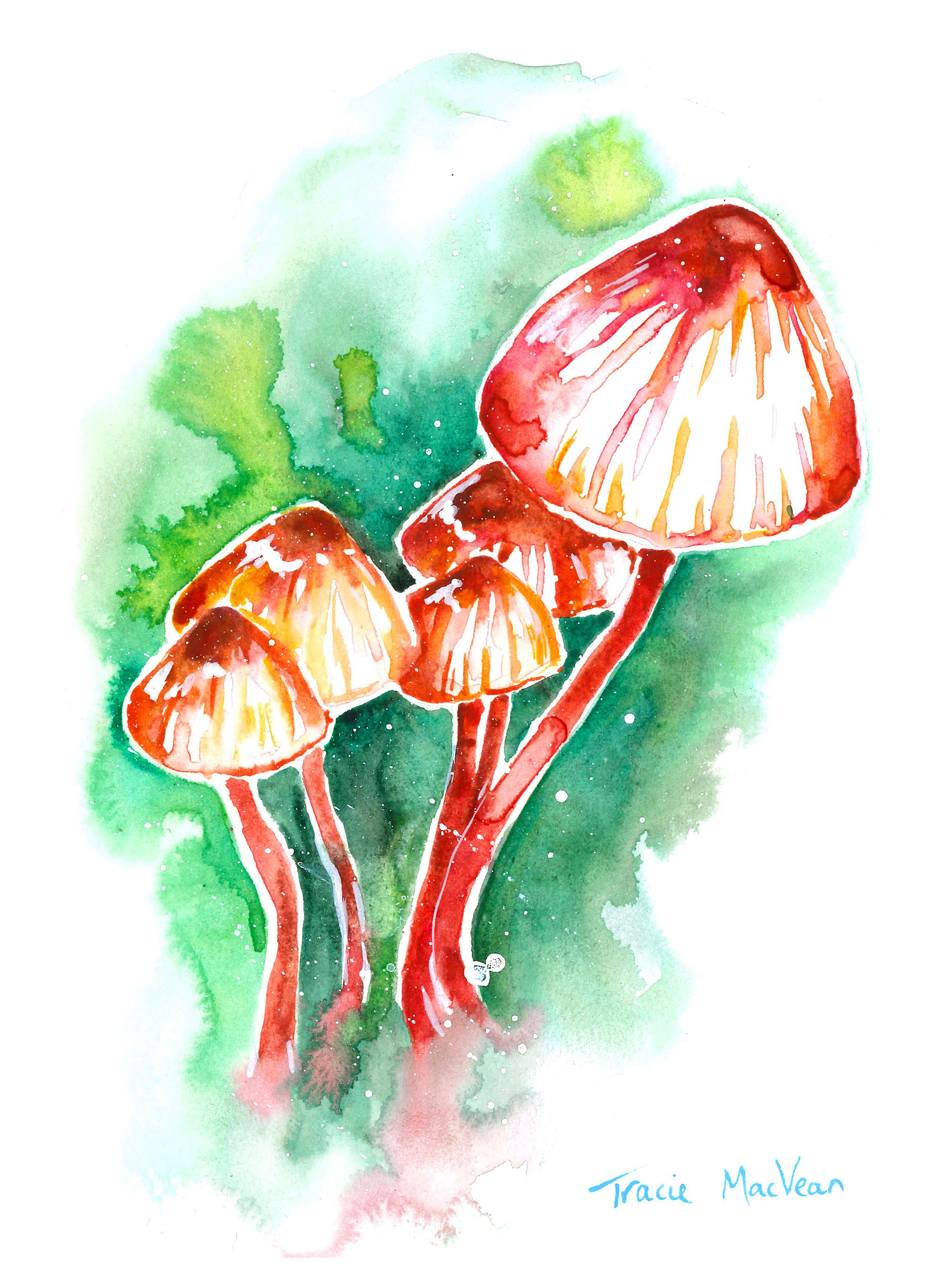 "Fungi Cluster" Acrylic ink on paper, 15cm x 21cm