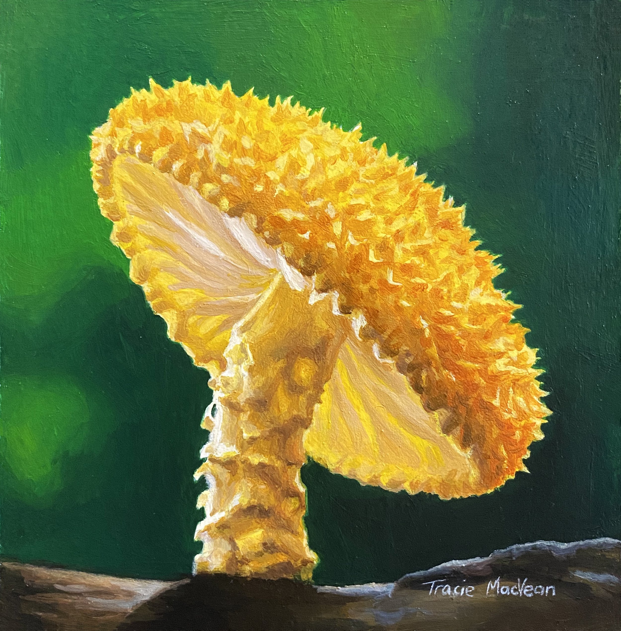"Cryptotrama Asprata" Oil on panel, 13cm x 13cm