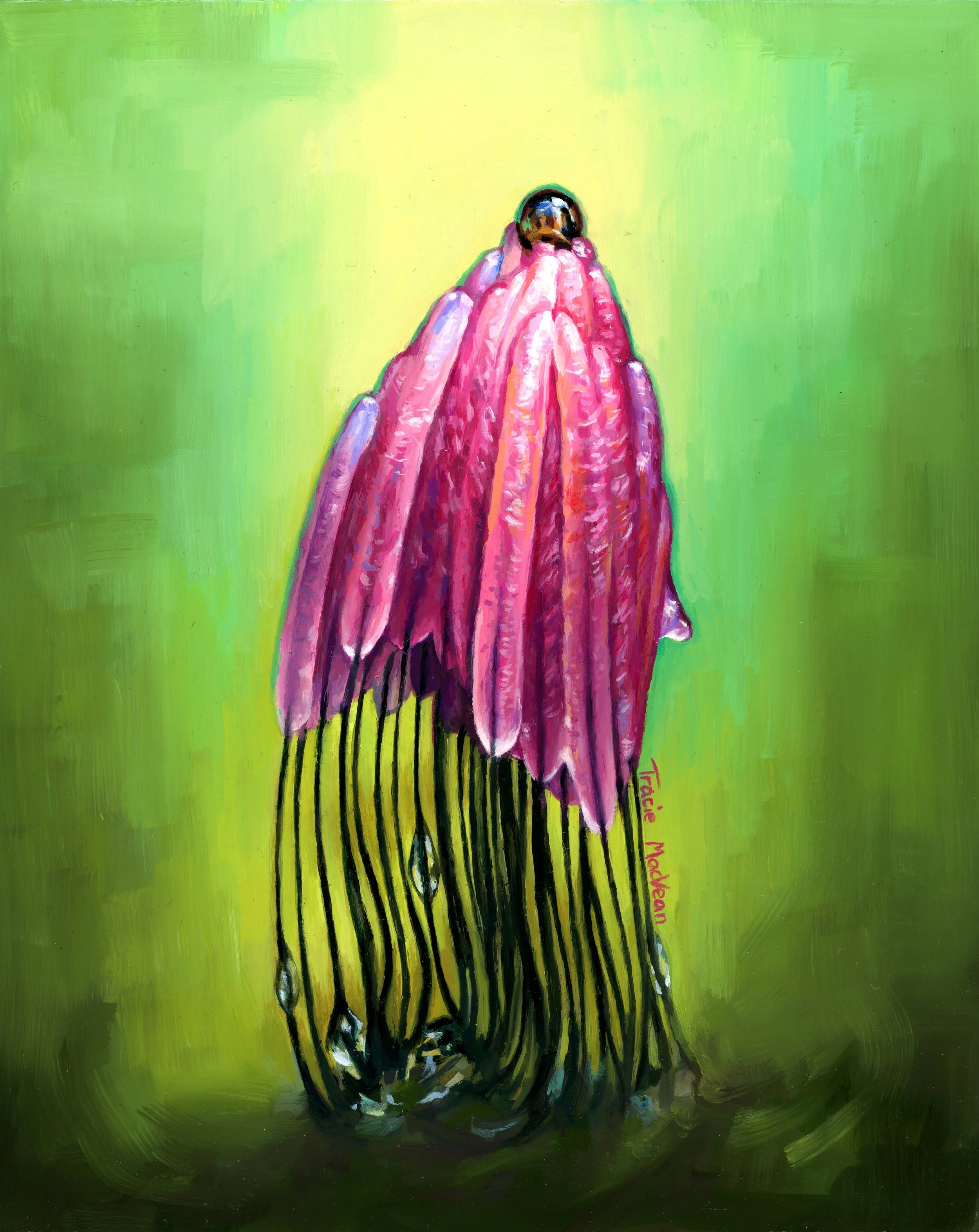 "Stemonitis" Oil on panel, 20.3cm x 25.3cm