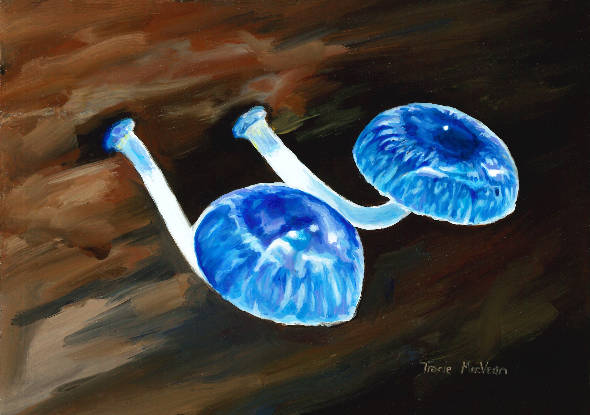 "Mycena Interrupta" Oil on panel, 13cm x 18cm
