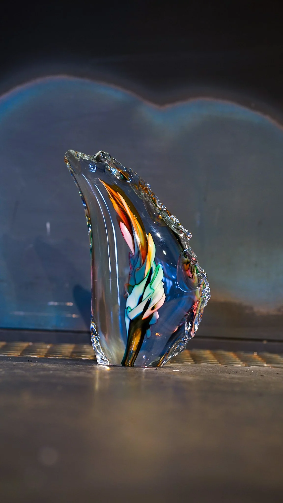 _DSC8811.JPG