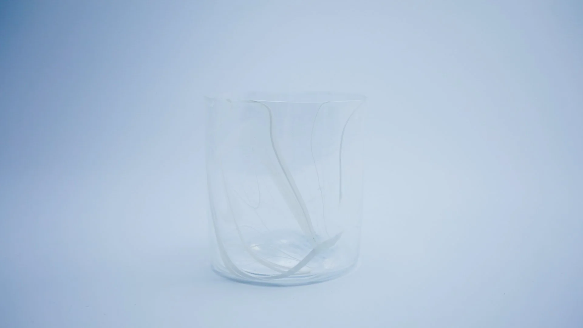 The Cup White Lines
