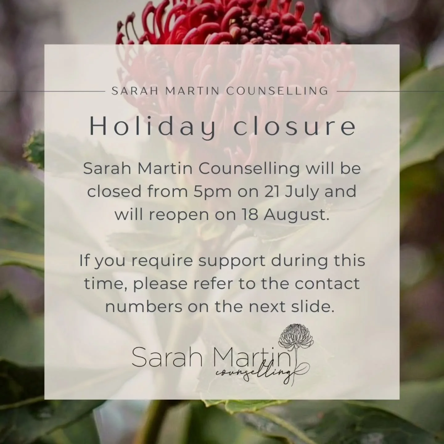 An update from Sarah: Upcoming leave and staying connected 🌿