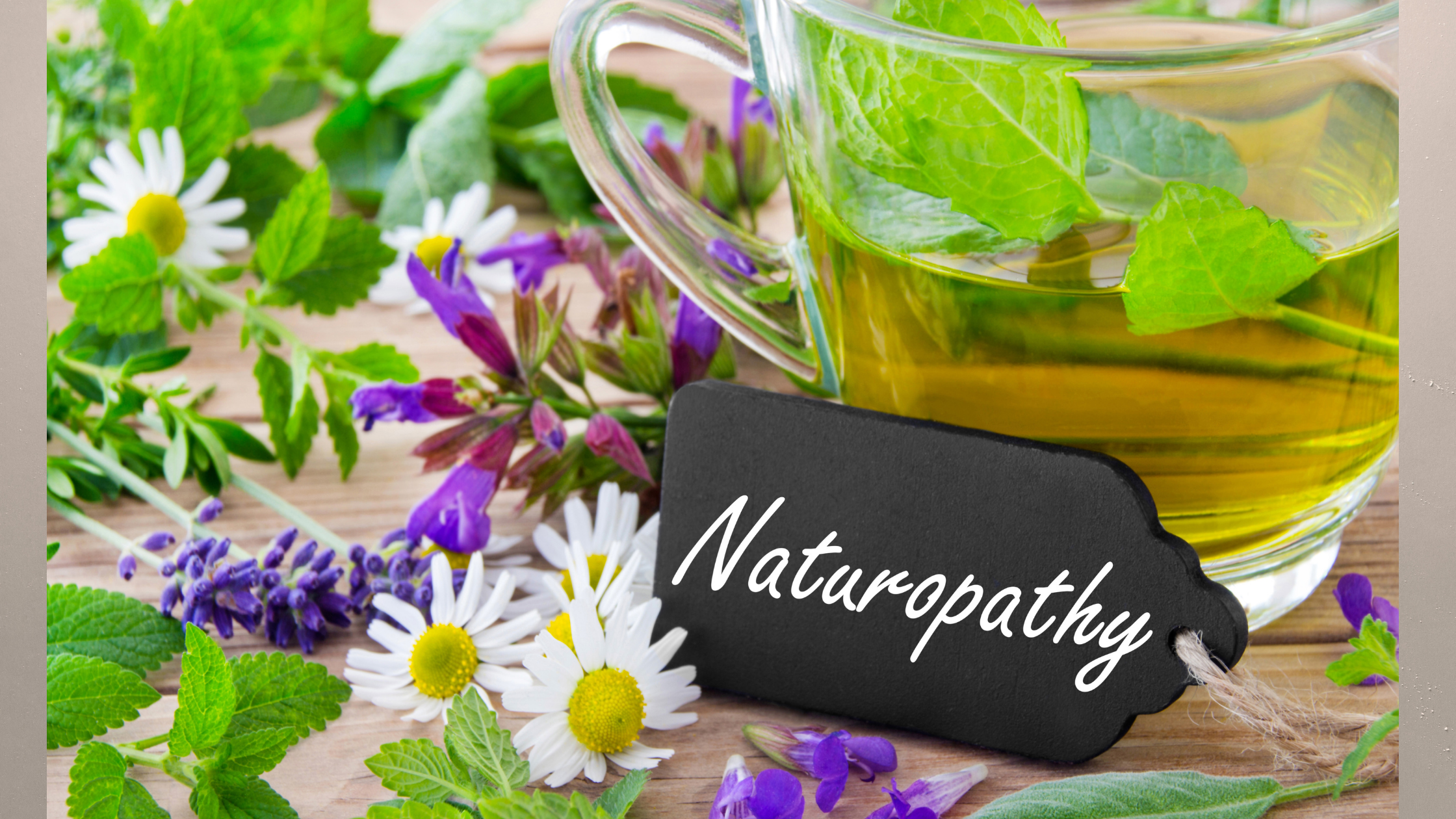 What is naturopathy?
