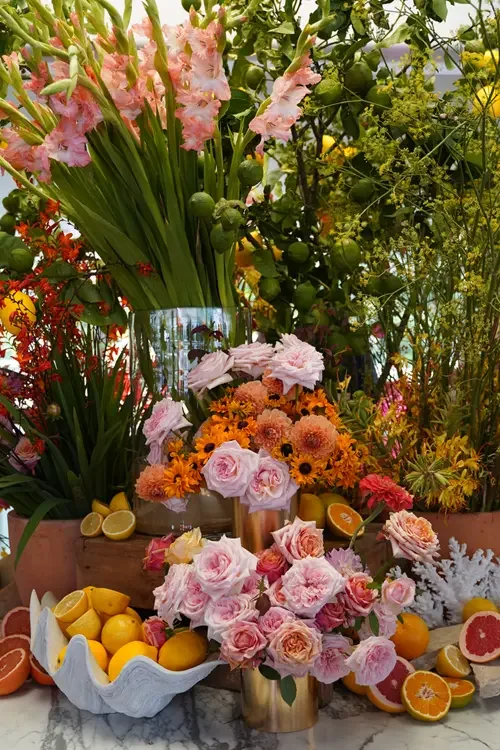 Di+Jones+CONNECT+florals 1.webp