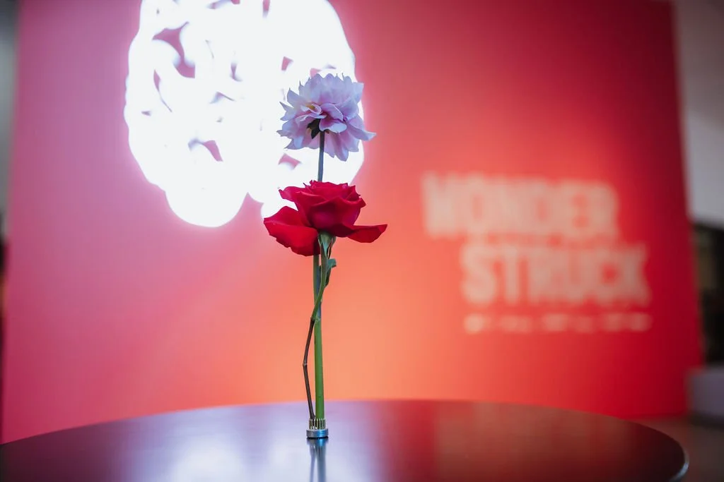 Savia Creative Event Designing Agency