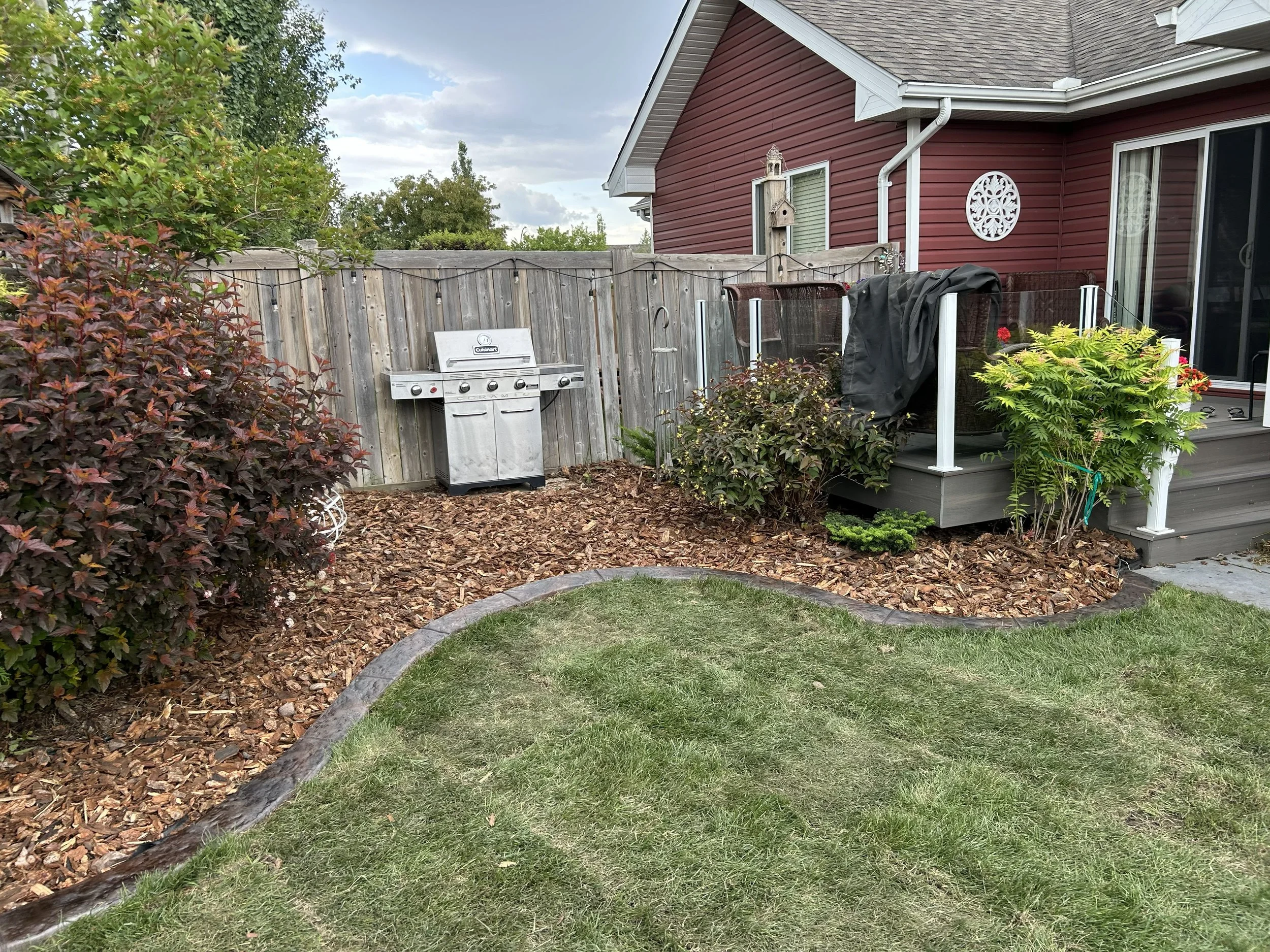 Wood chips 3 PM.jpeg